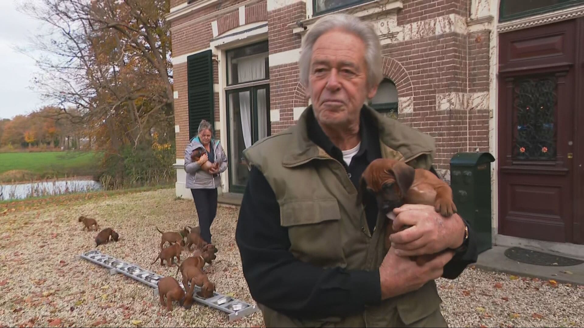 Chaos door puppyboom bij Eddy en Annelies: 'Dag en nacht om de 2 uur voeden' 
