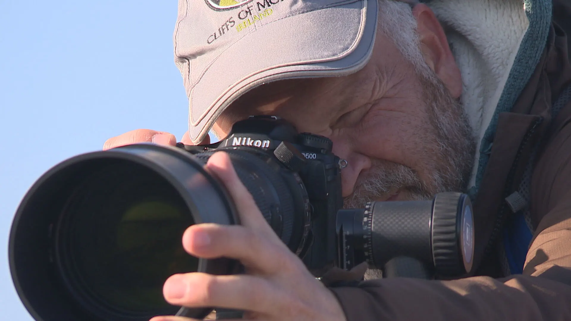 Vogelspotters massaal naar Scheveningen voor arctische meeuw: 'Hij zit gewoon te pronken'