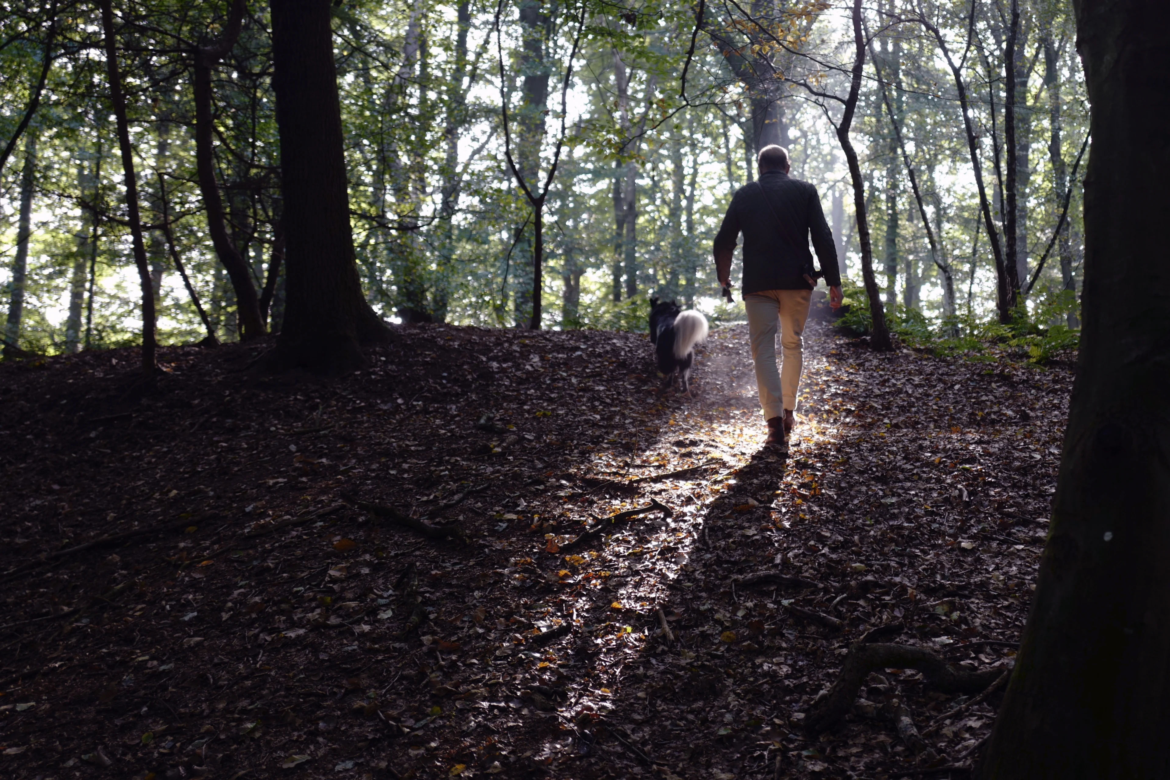 Droog herfstweer in aantocht: later deze week zonnig en hogere temperaturen