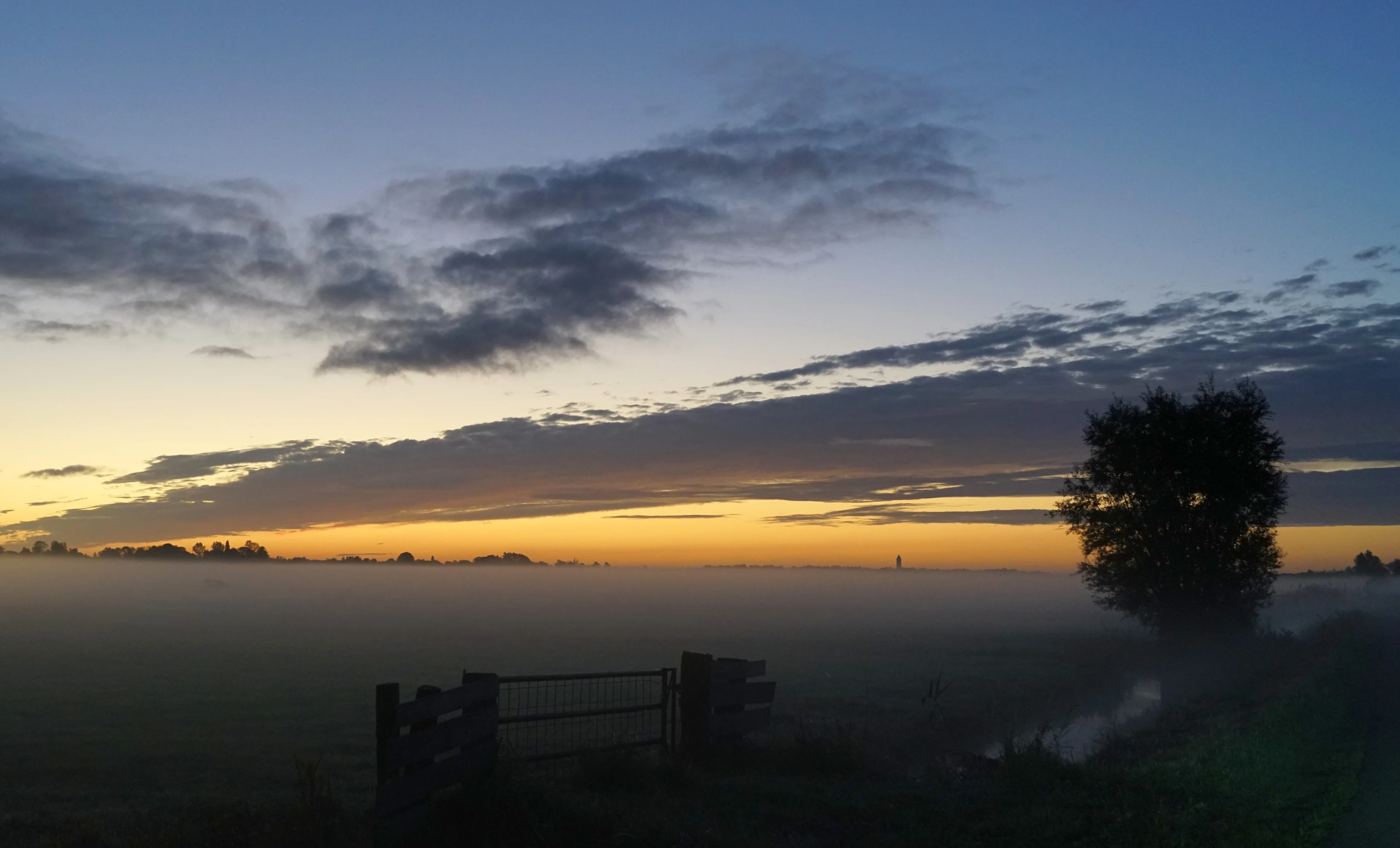 Mistige start van de week: KNMI waarschuwt deel van land met code geel