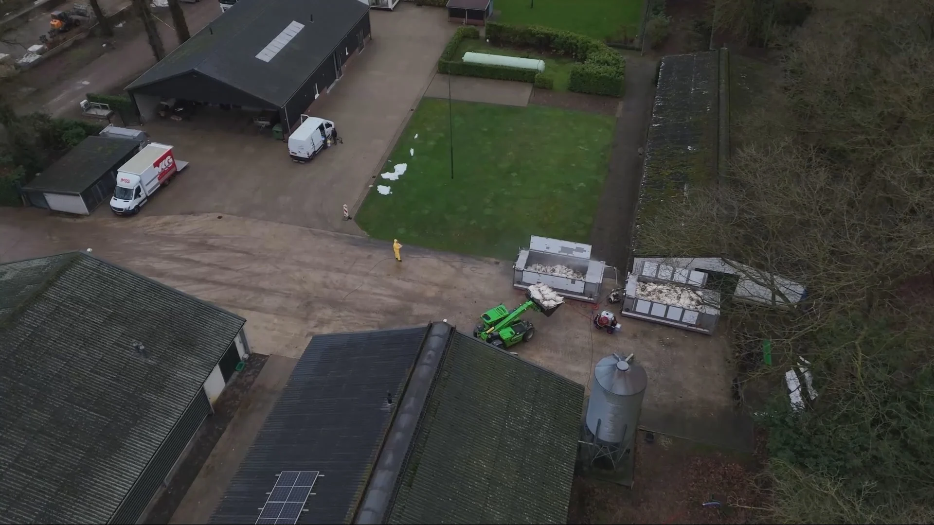 Tienduizenden kalkoenen geruimd na vogelgriep in Moergestel