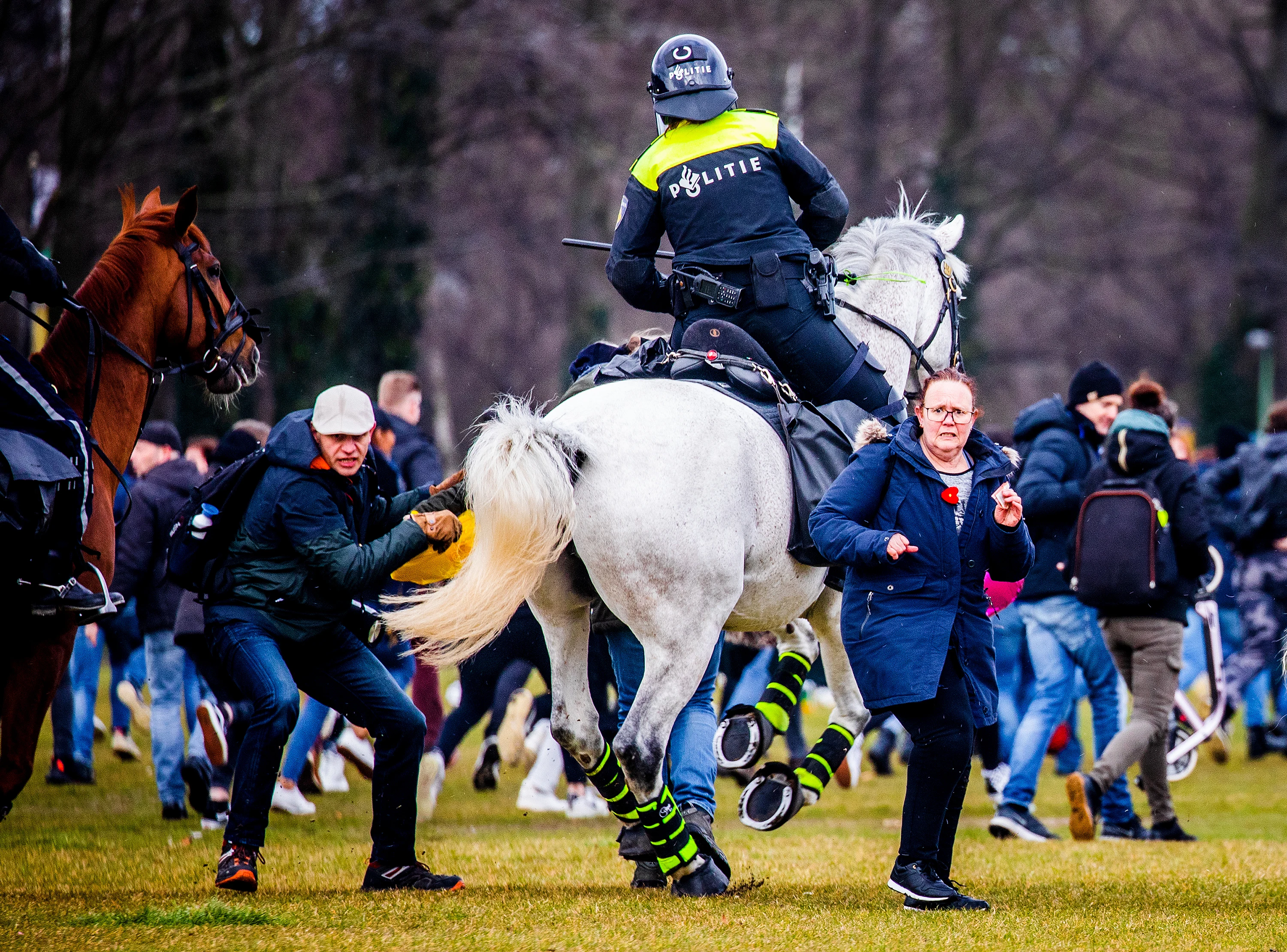 Verdachten van zwaarste geweld op Malieveld gezamenlijk voor de rechter