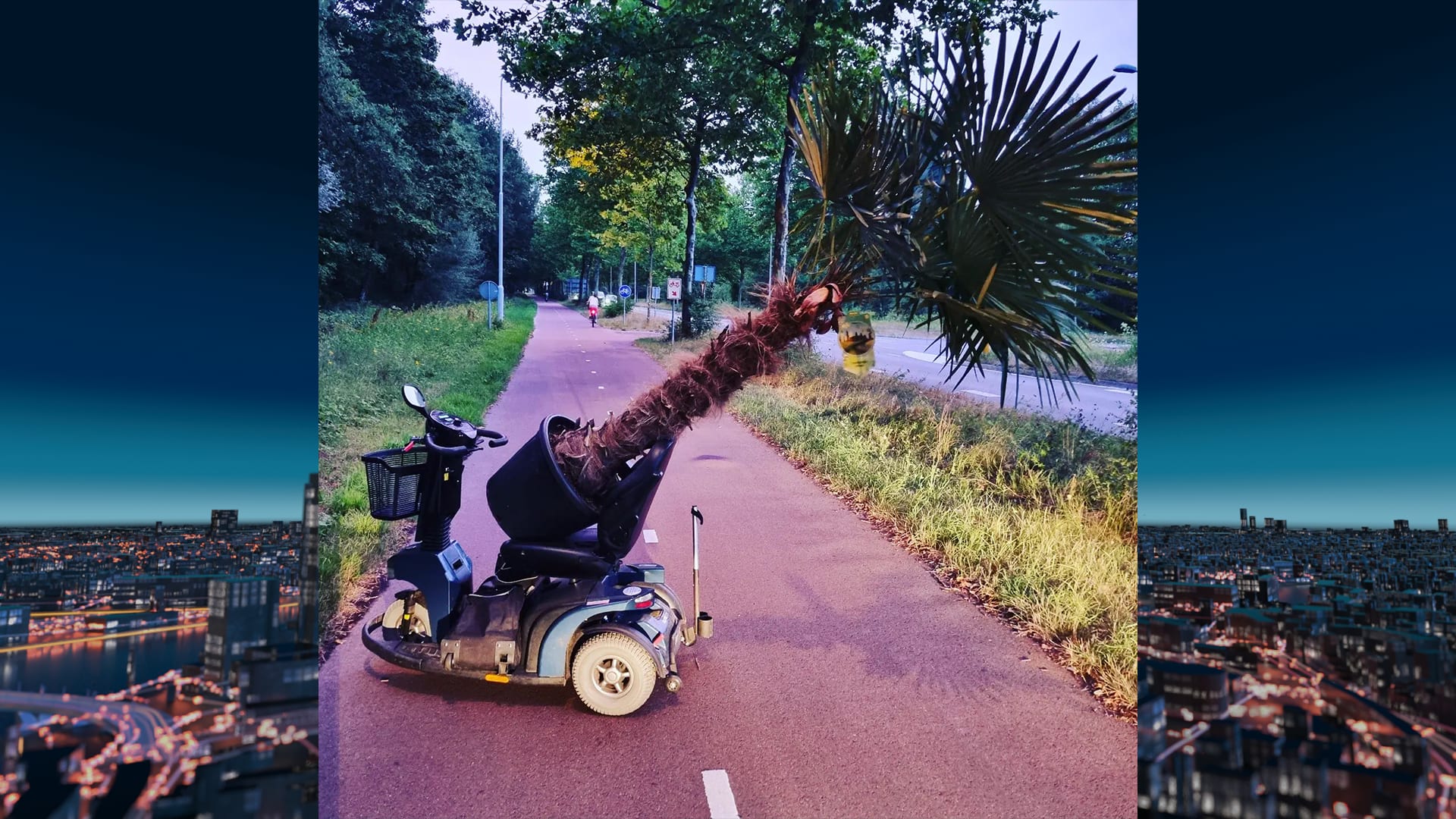 Dief neemt enorme palmboom mee in scootmobiel en wordt op heterdaad betrapt