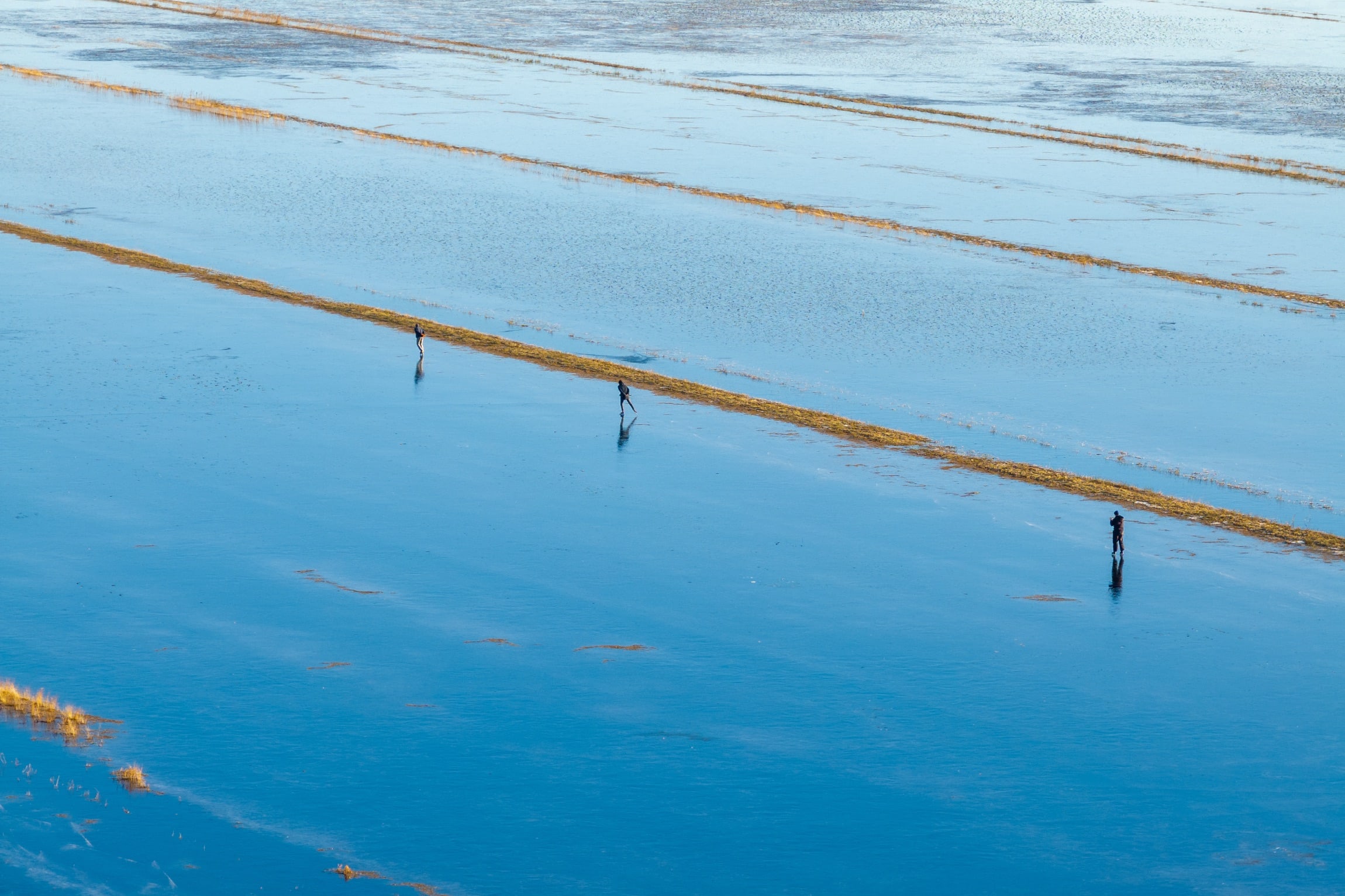 ZIEN: Schaatsers halen op mega-ijsbaan in Akmarijp hun hart op