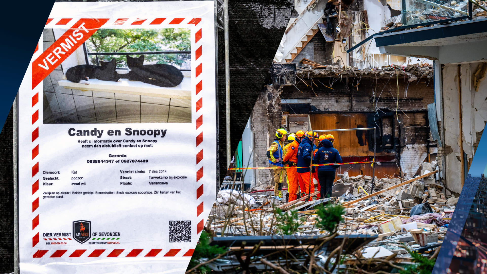 Waar zijn Candy en Snoopy? Katten spoorloos na explosies Tarwekamp