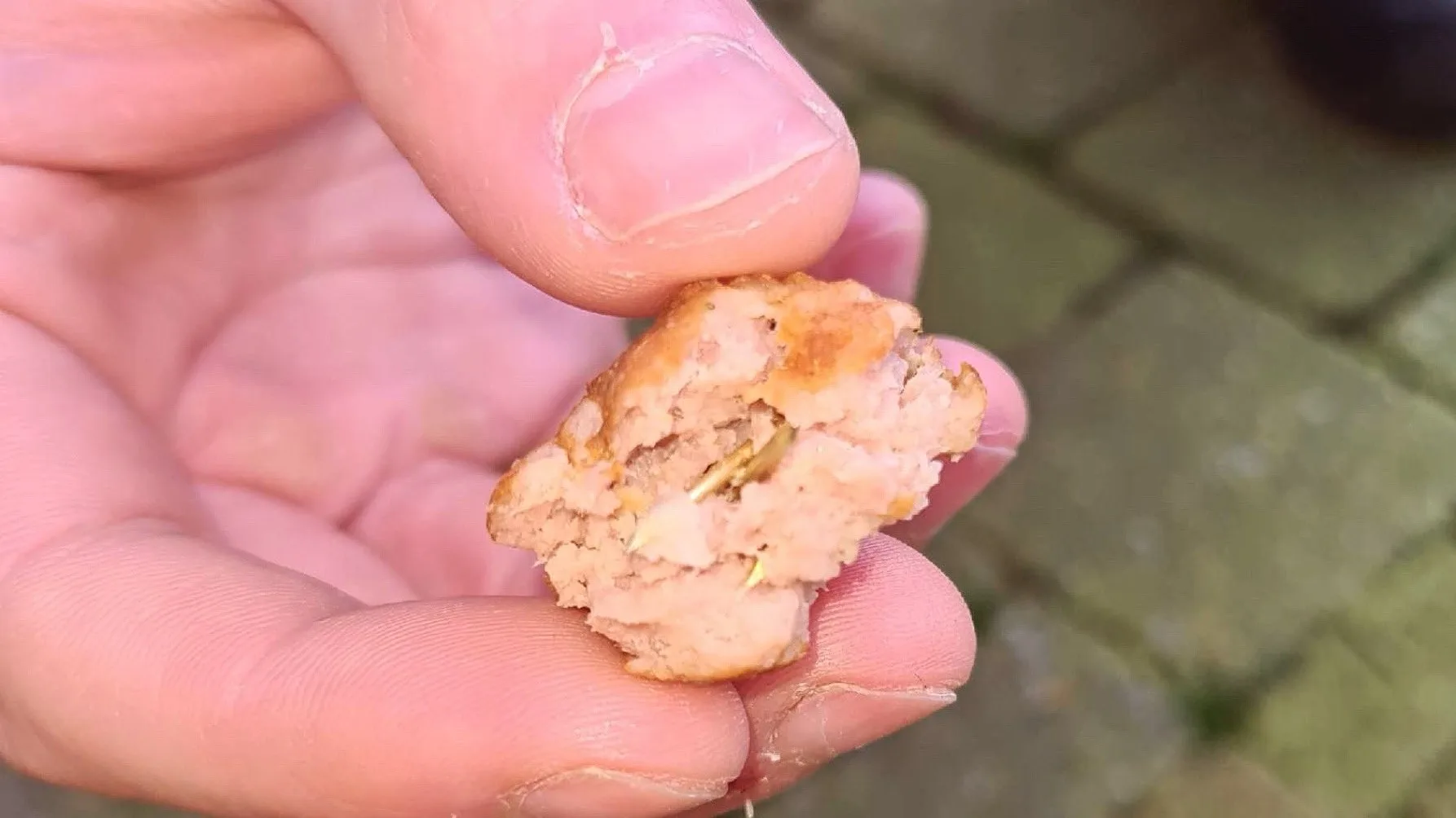 Hondeneigenaren opgelet: gehaktballen met spijkers gevonden in Rijsbergen