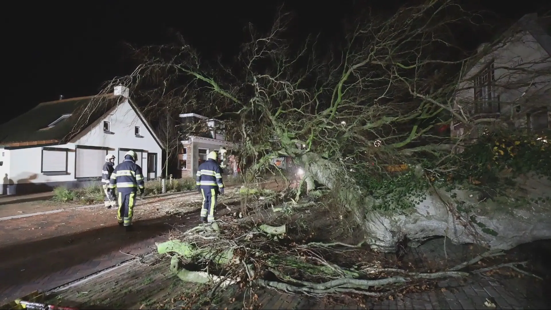 Schade door zware storm Conall: fietser (19) overleden, auto knalt op omgevallen boom