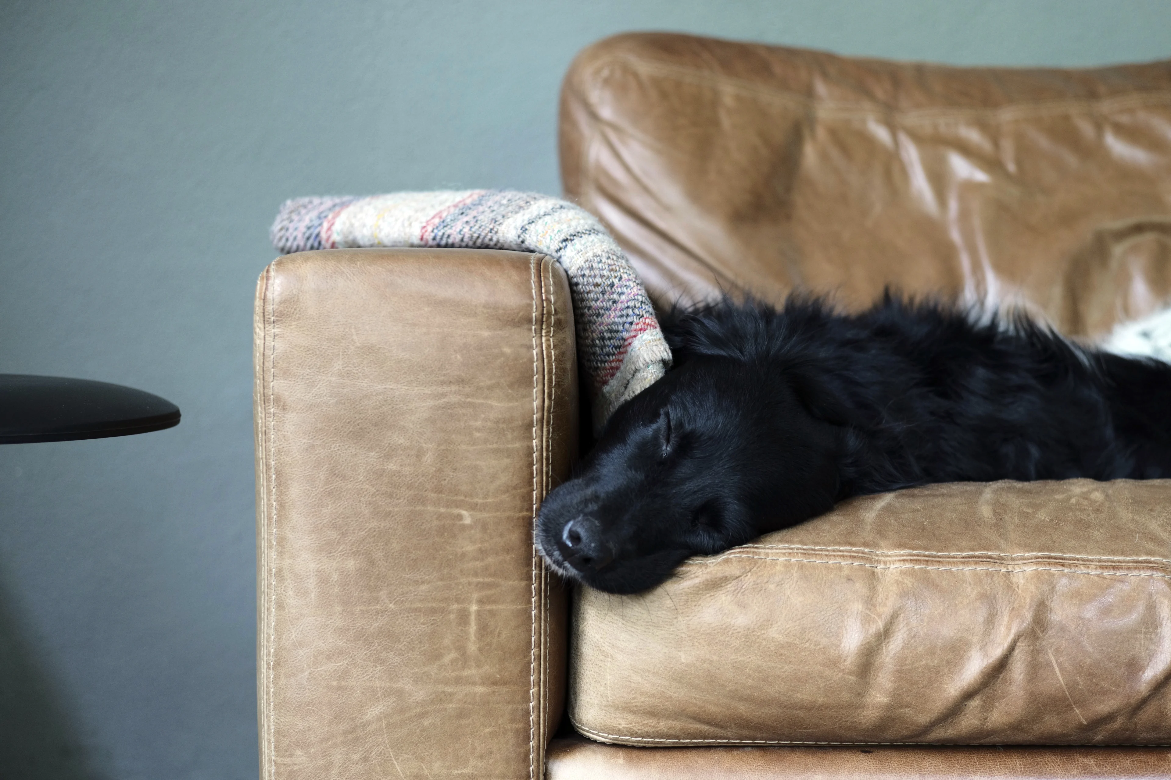 Ook zo'n vermoeid gevoel tijdens deze sombere dagen? Dit kun je ertegen doen