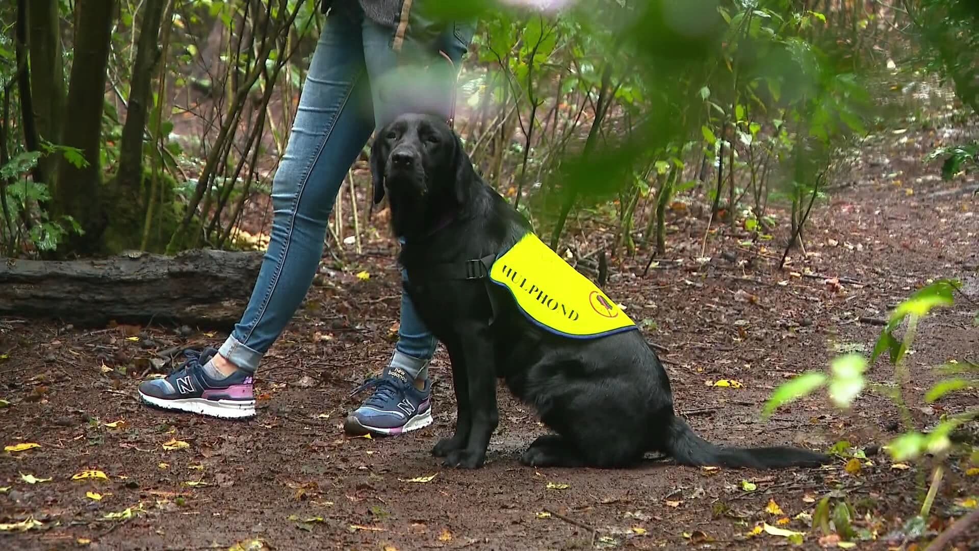 Robin (17) heeft psychische problemen en droomt van 'onbetaalbare' hulphond