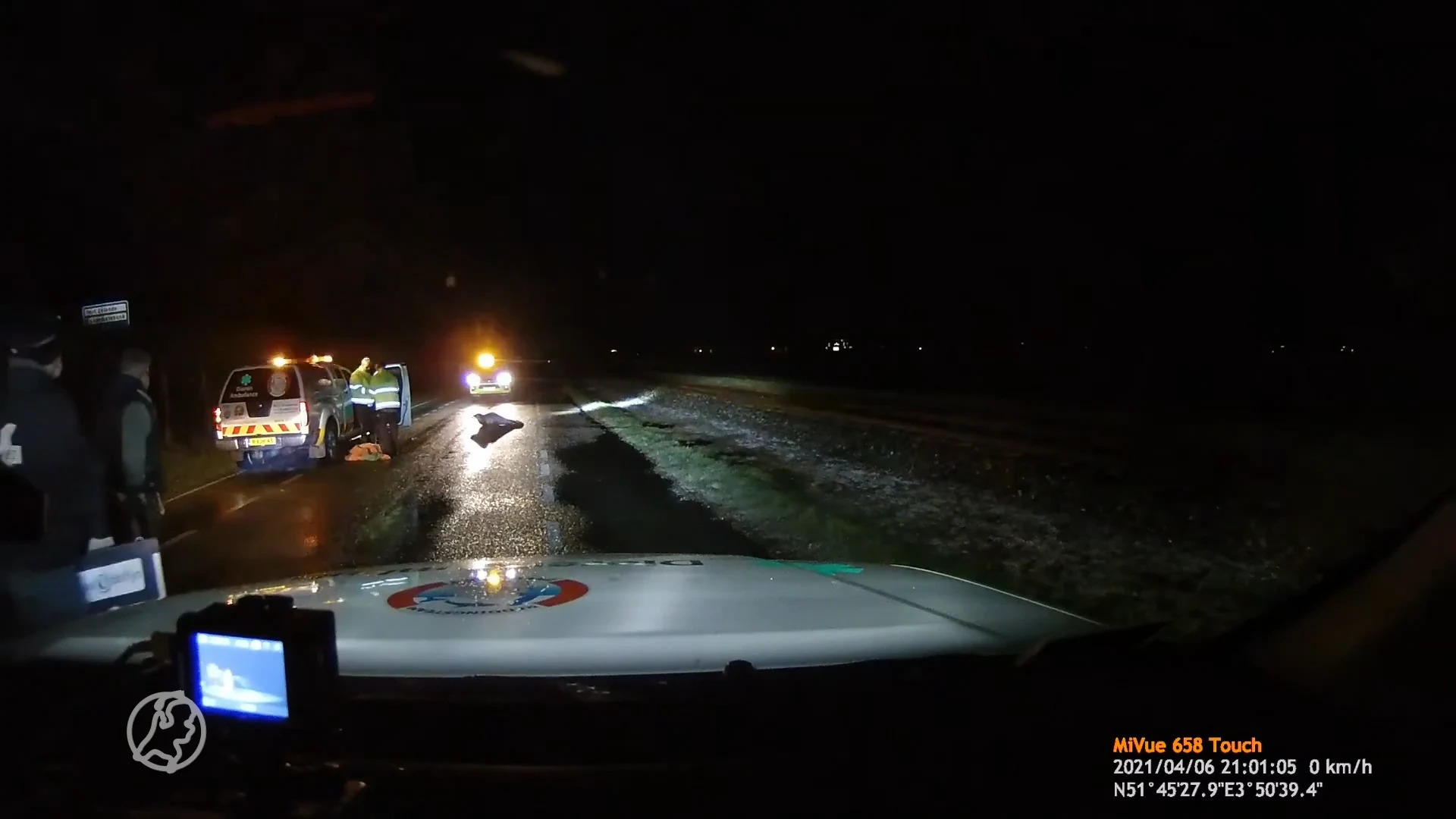 Overstekende zeehonden platgereden op Brouwersdam