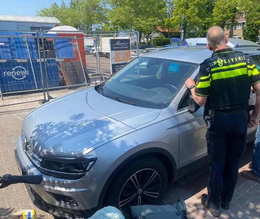 Laat je kind of huisdier niet in auto achter: binnen mum van tijd wordt auto een bakoven