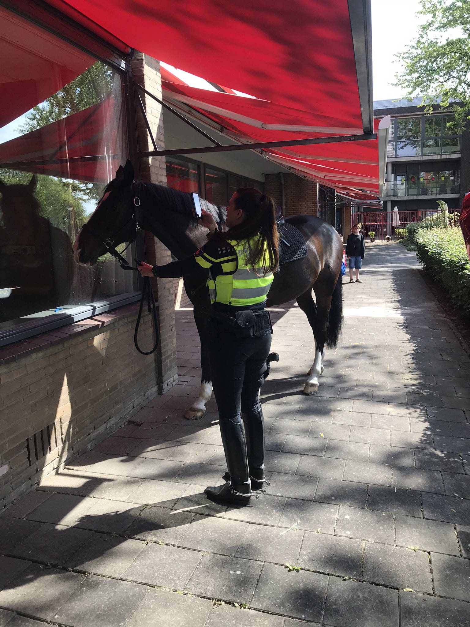Politiepaard Bono rukt weer uit voor Rotterdamse oma Jopie (99)