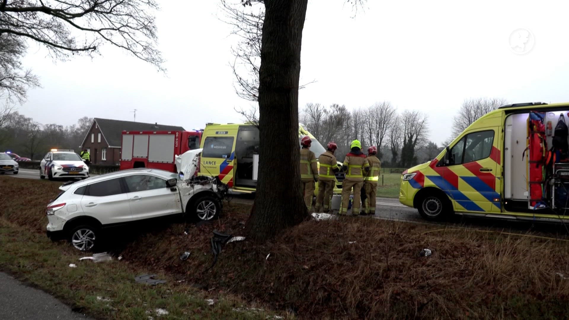 Bestuurder die tegen boom knalt bij Gaanderen overleden