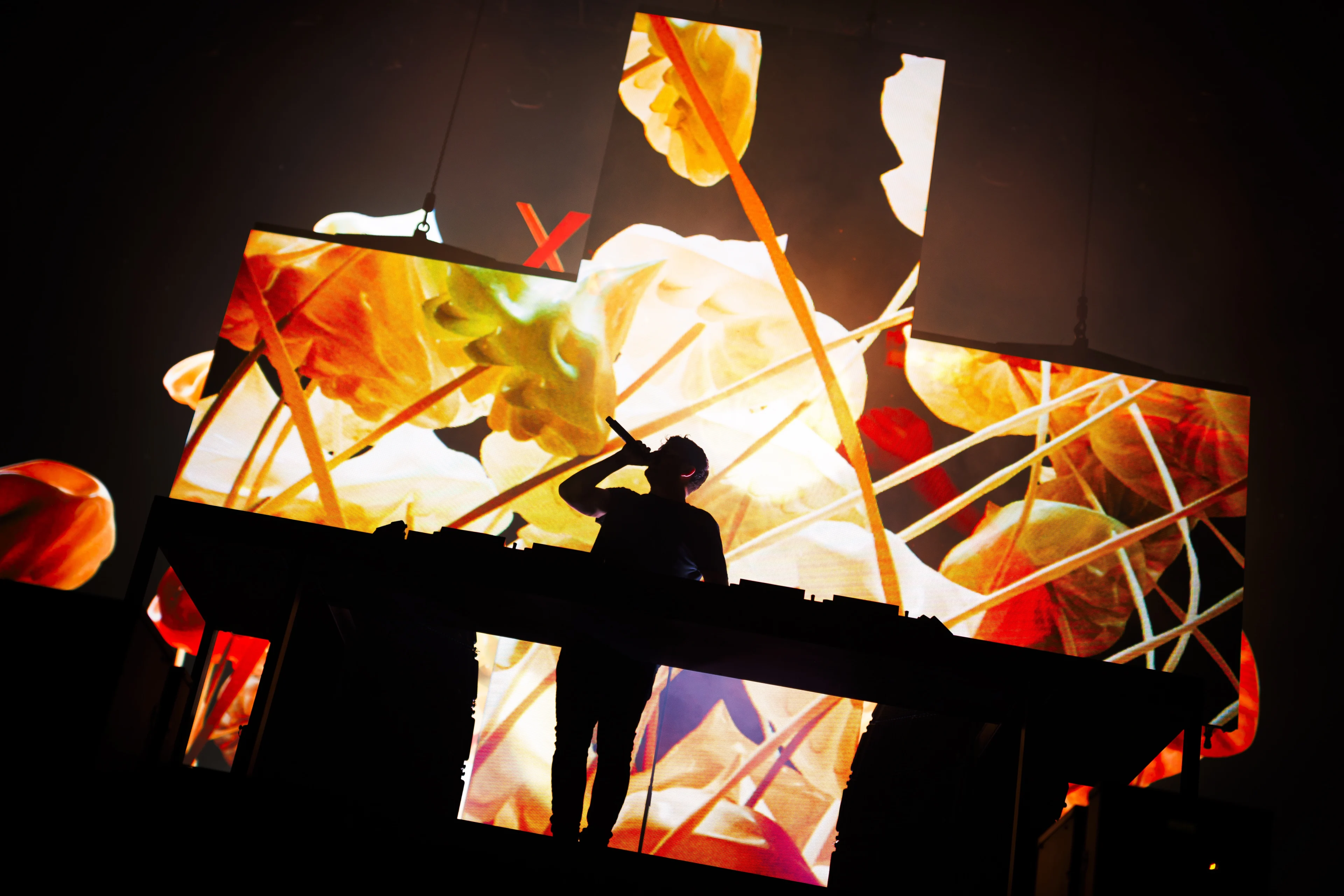 Nederlanders blijven internationale succesnummers