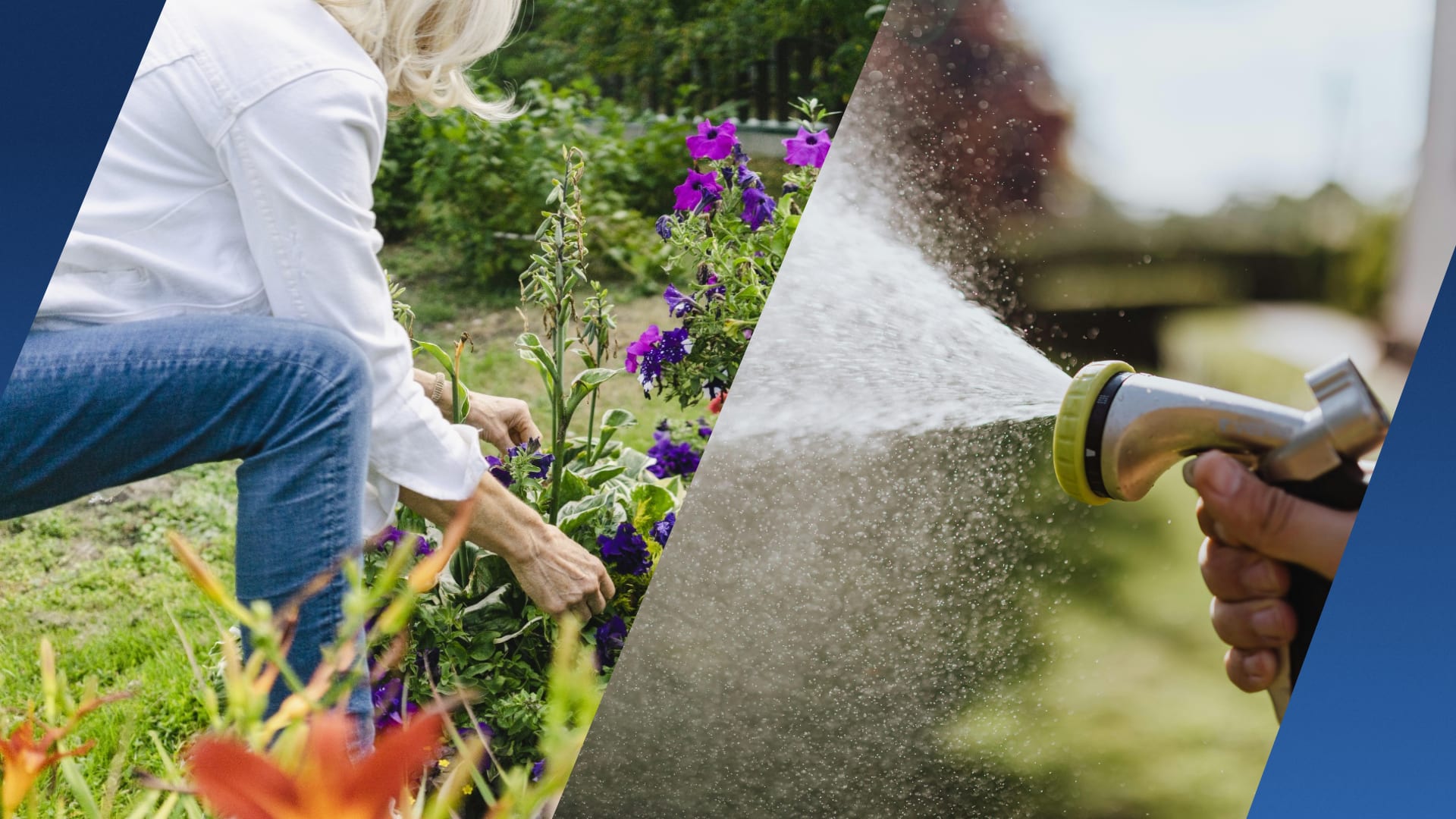 Zo houd je je tuin groen, ook tijdens warme periodes