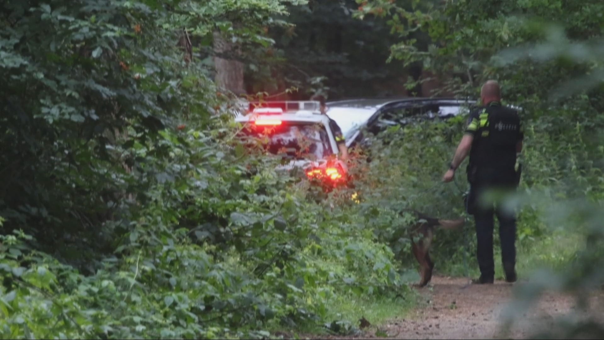 Man met kruisboogpijlen aangehouden in Amersfoorts bos