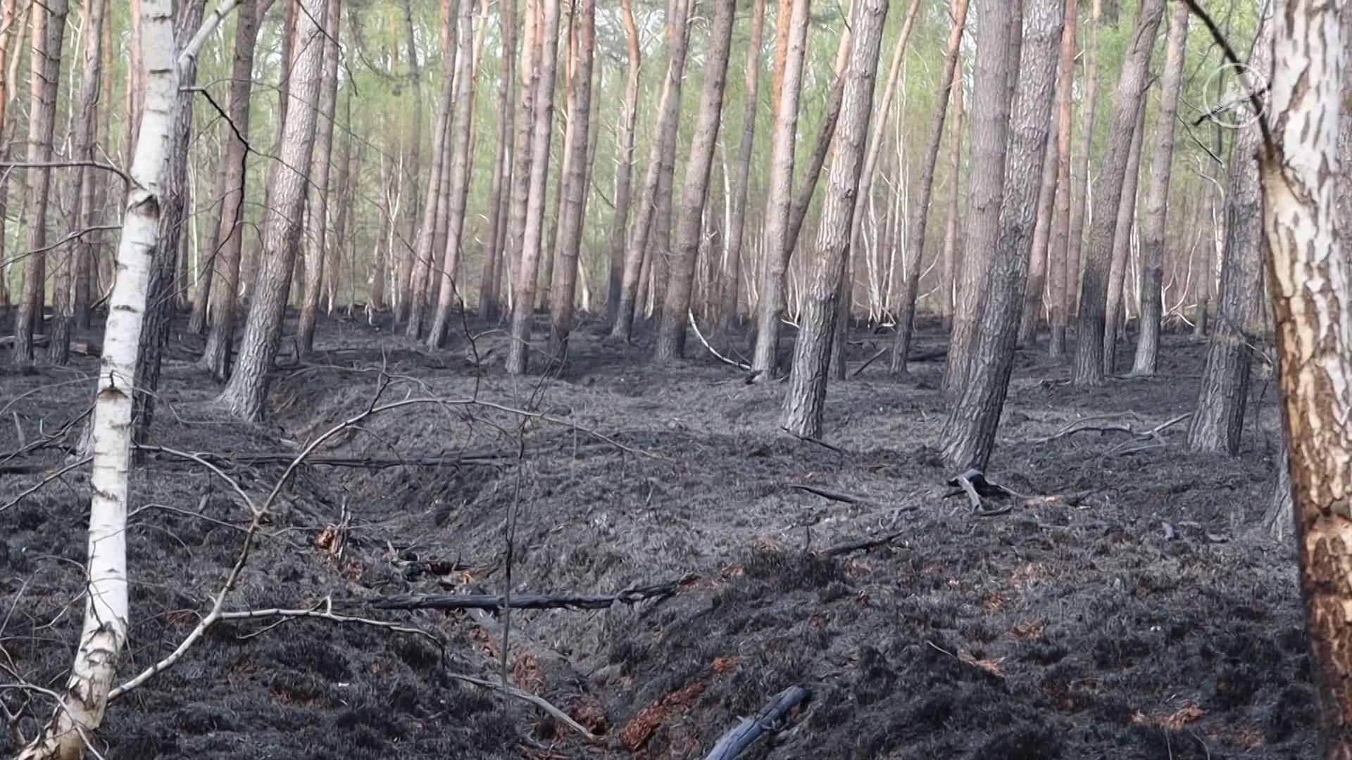 Natuurgebied in de as na grote brand: 'Nog niet zeker wat de schade precies is'