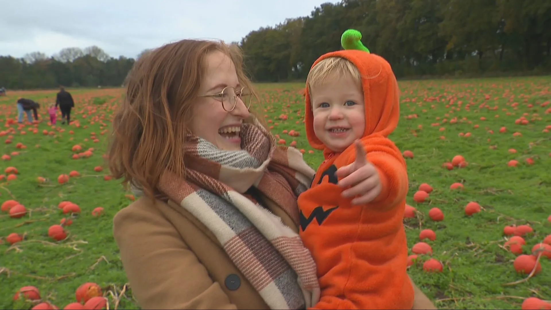 Pompoenen van boer Jan te groot voor supermarkt, dus mag iedereen rapen