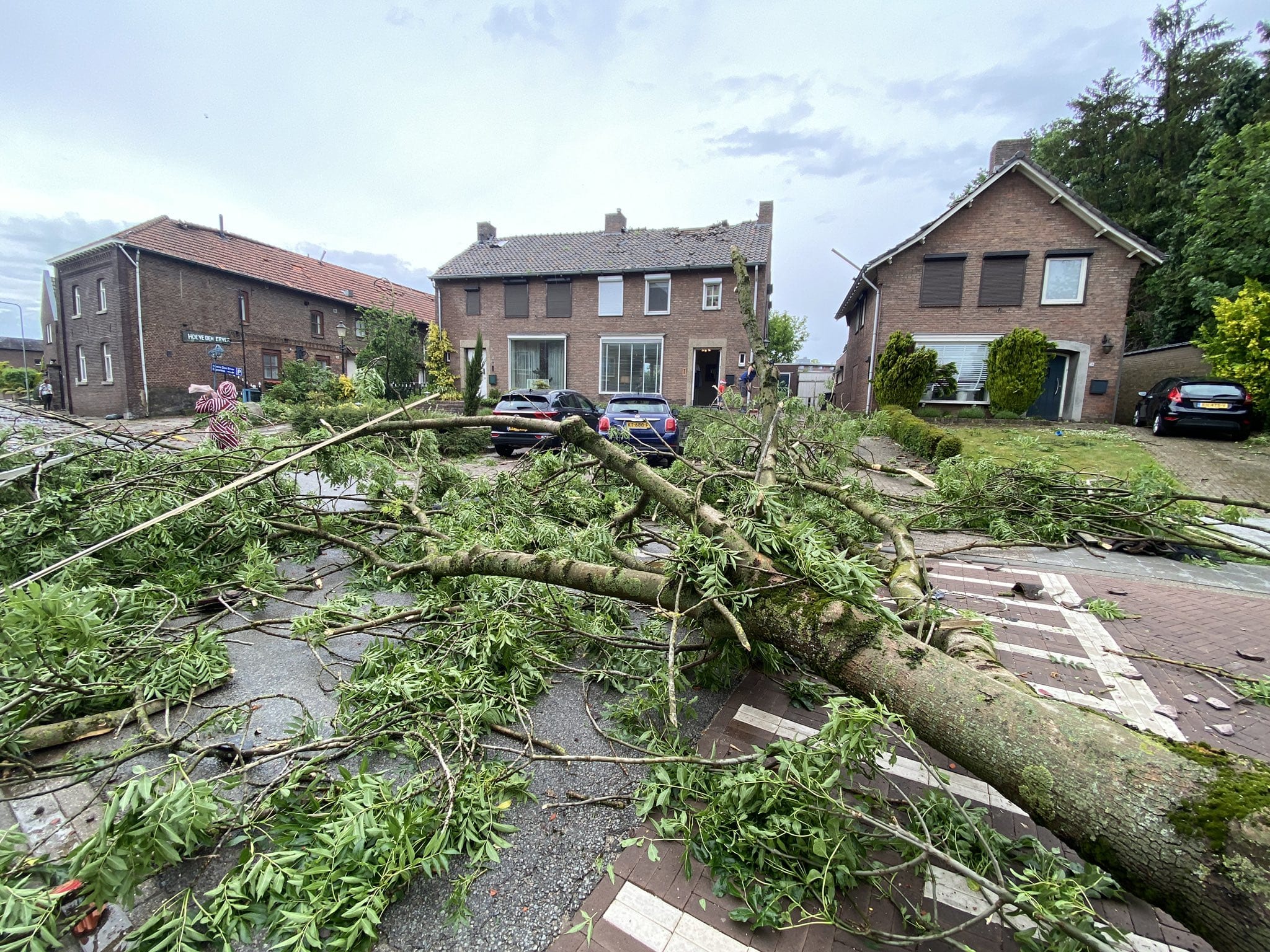 Valwind trekt spoor van vernieling door Zuid-Limburg: zeker 150 schademeldingen
