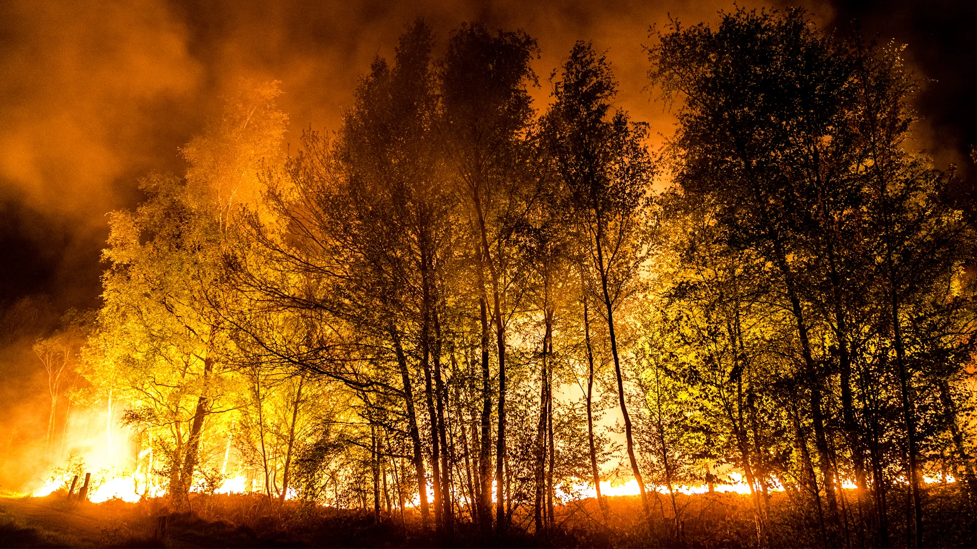 Risico op natuurbranden: brandje kan razendsnel uitbreiden