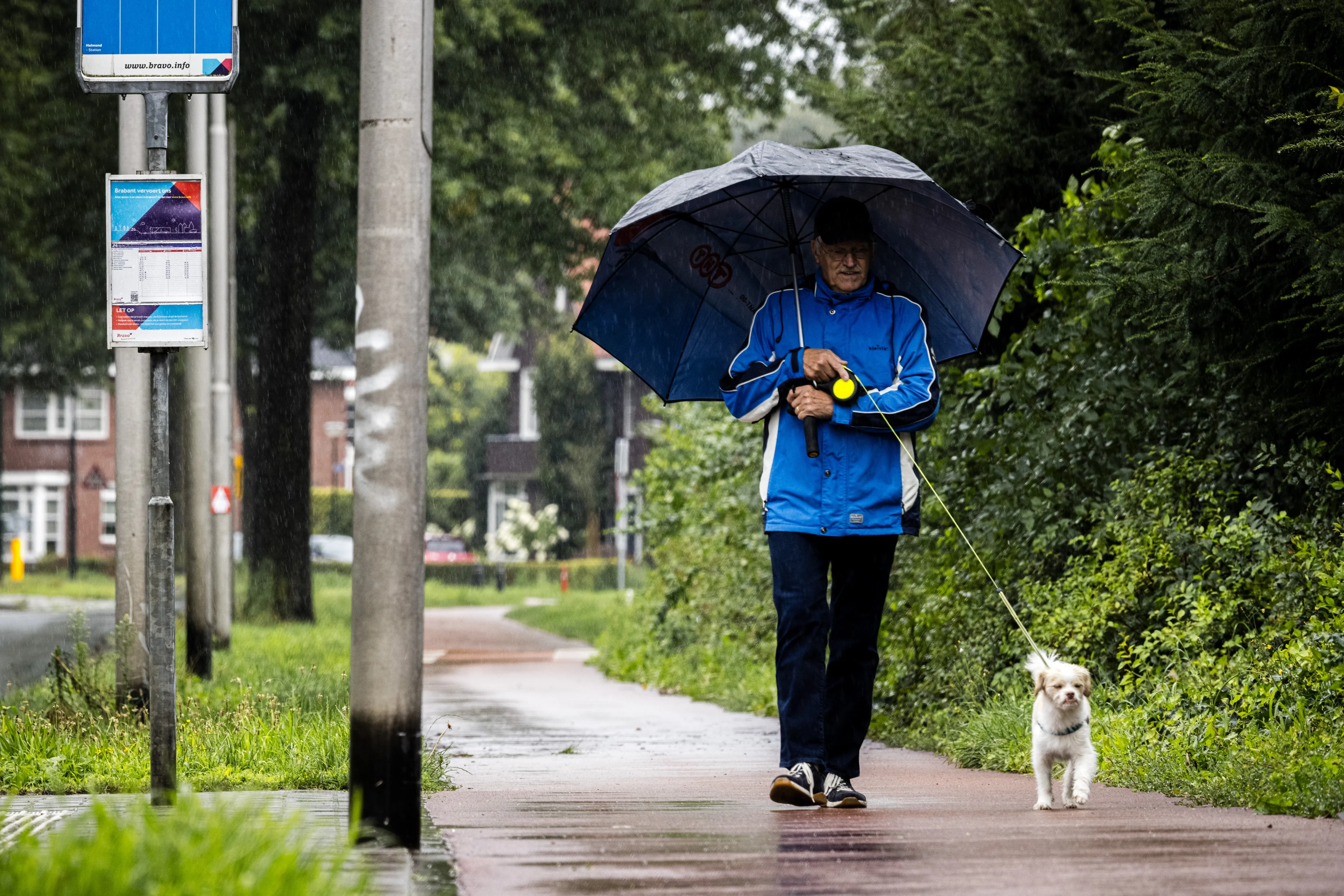 Deze week koud en nat, maar zijn tropische temperaturen weer onderweg?