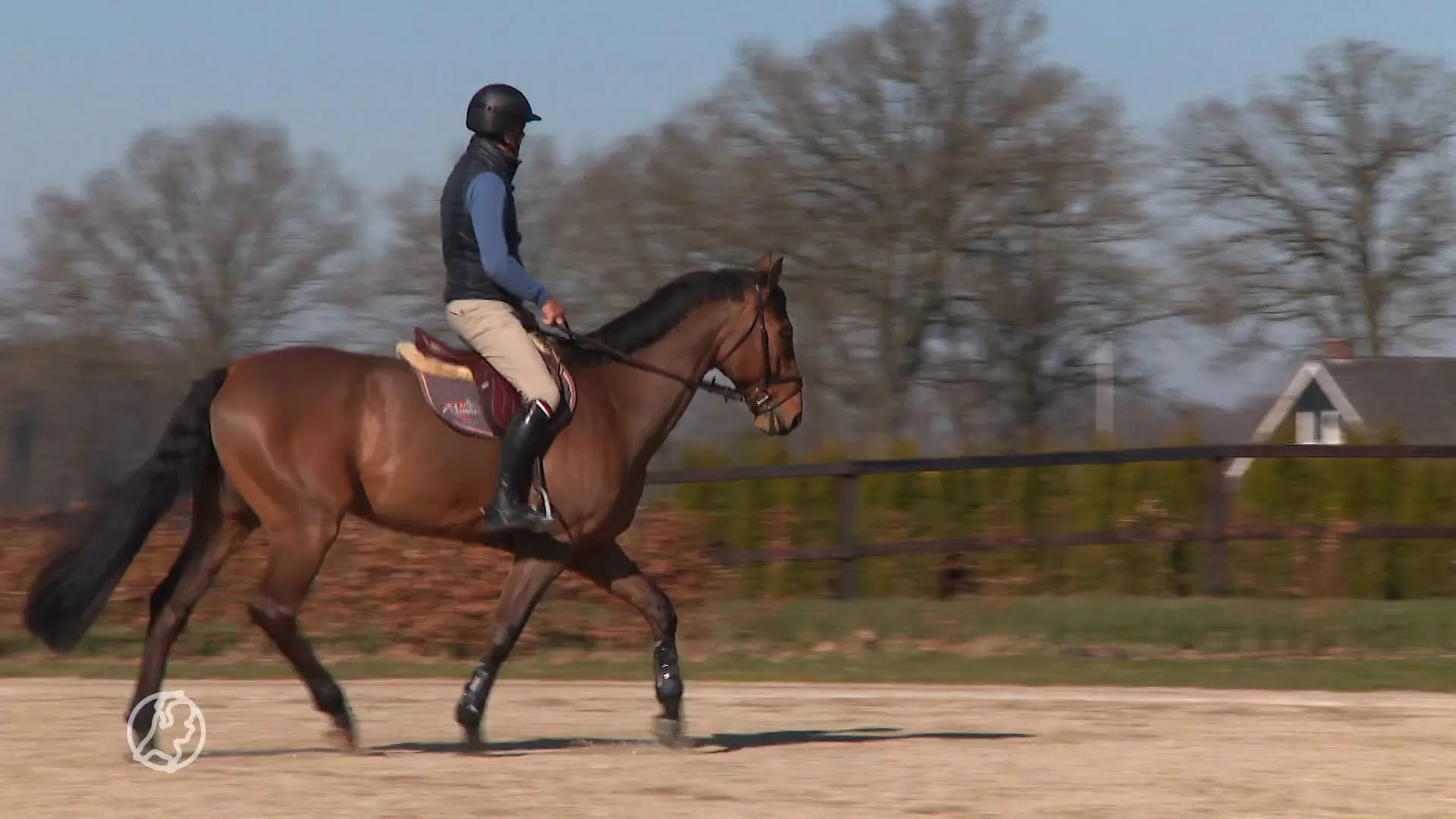 Besmettelijk paardenvirus nieuwe hindernis naar Spelen voor springruiter Jeroen