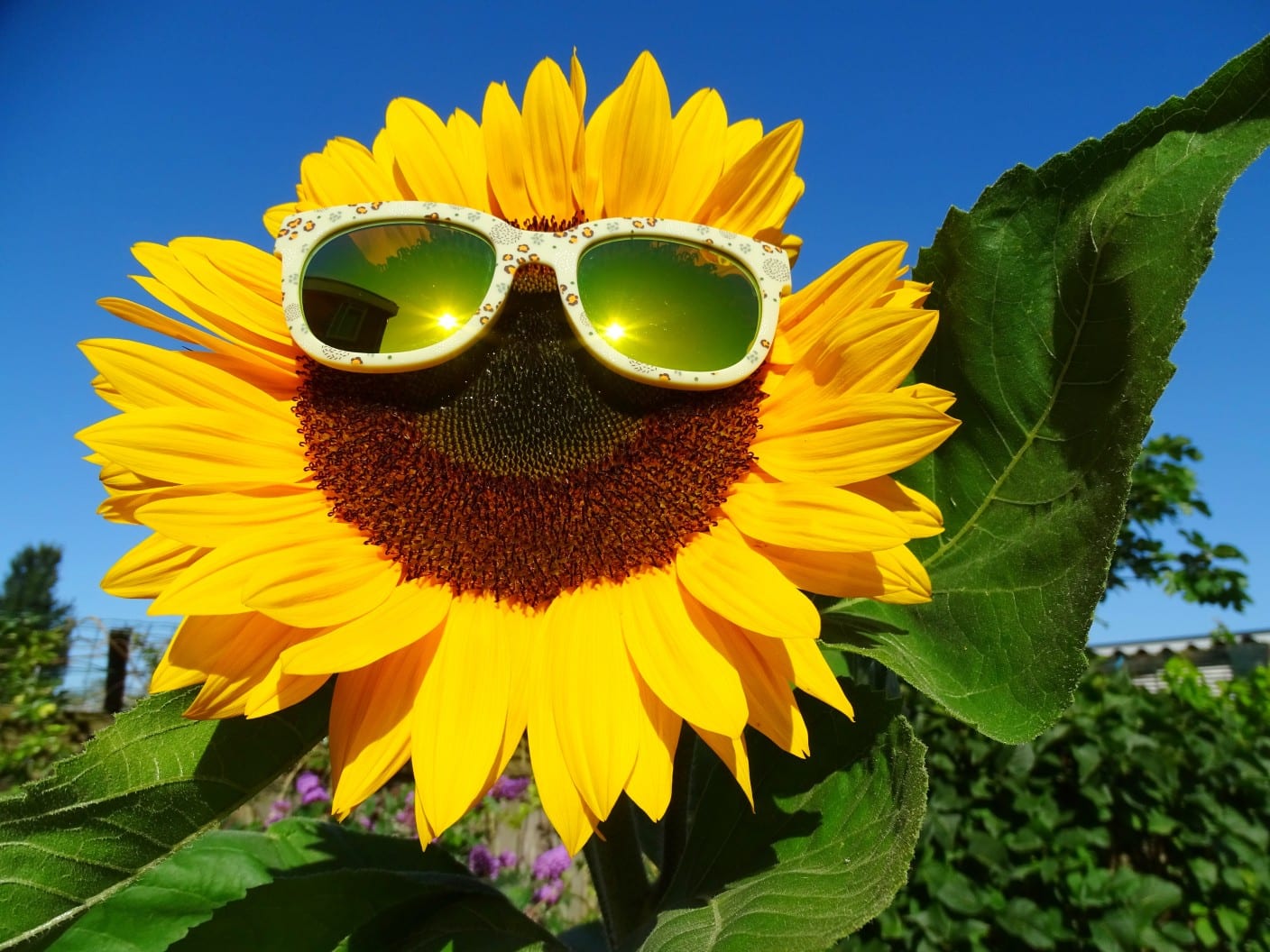 Warm, droog en grillig: zo extreem wordt mei dit jaar