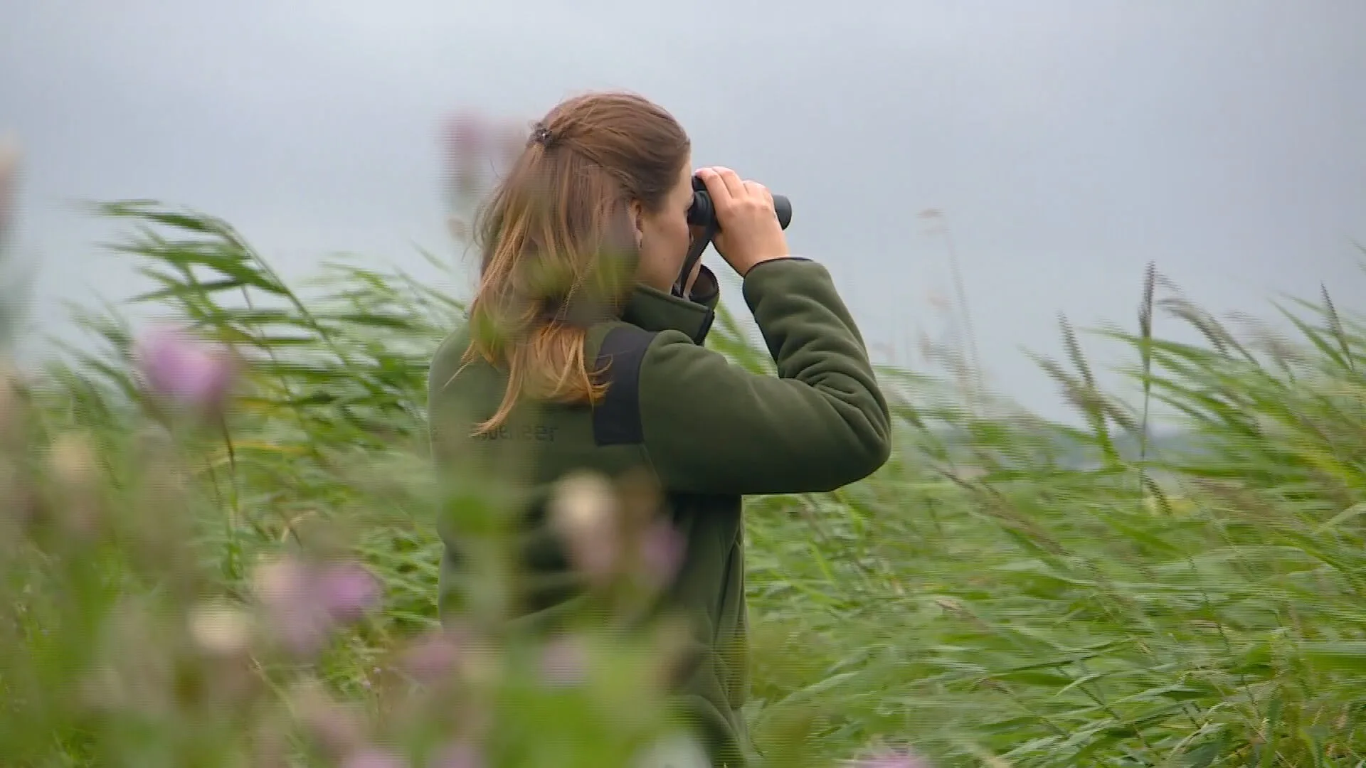 Staatsbosbeheer wil onbekende natuurgebieden populairder maken vanwege coronavirus