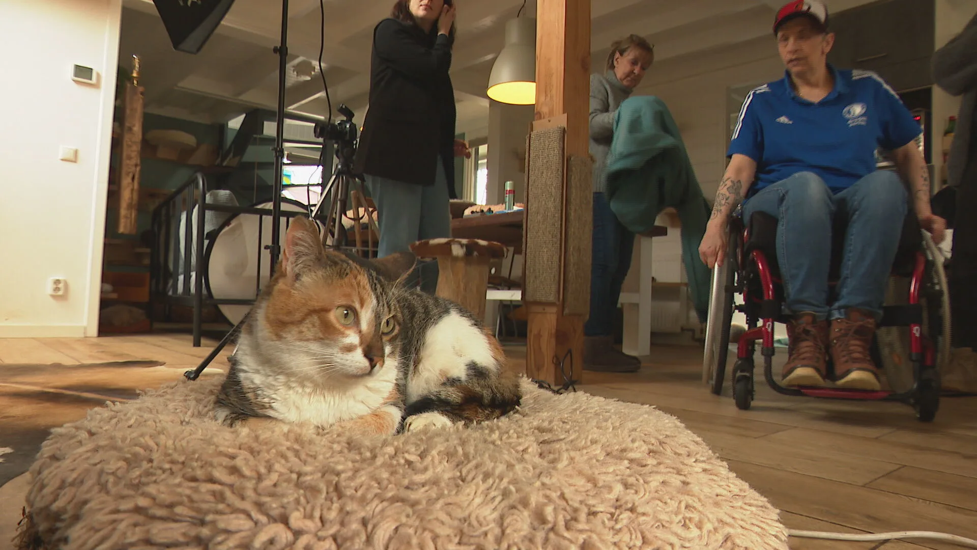 Gehandicapte katten en mensen samen op de foto voor kalender