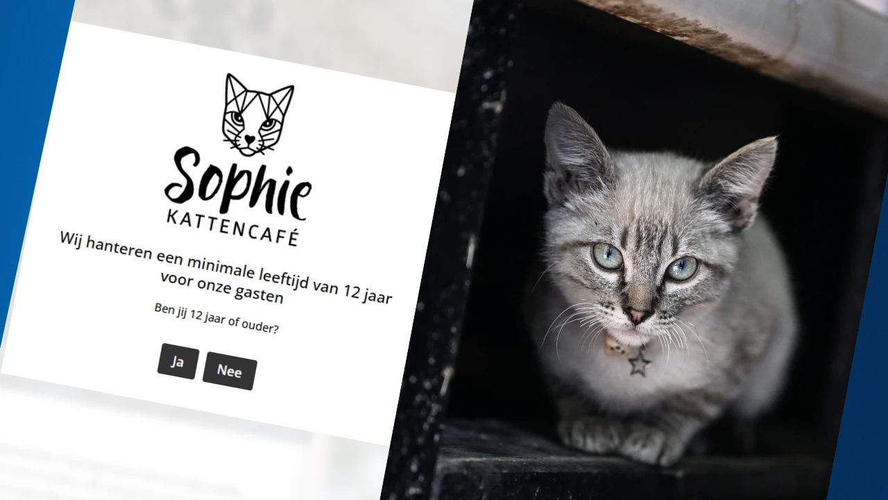 Jonge kinderen niet meer welkom in Leids kattencafé na incidenten