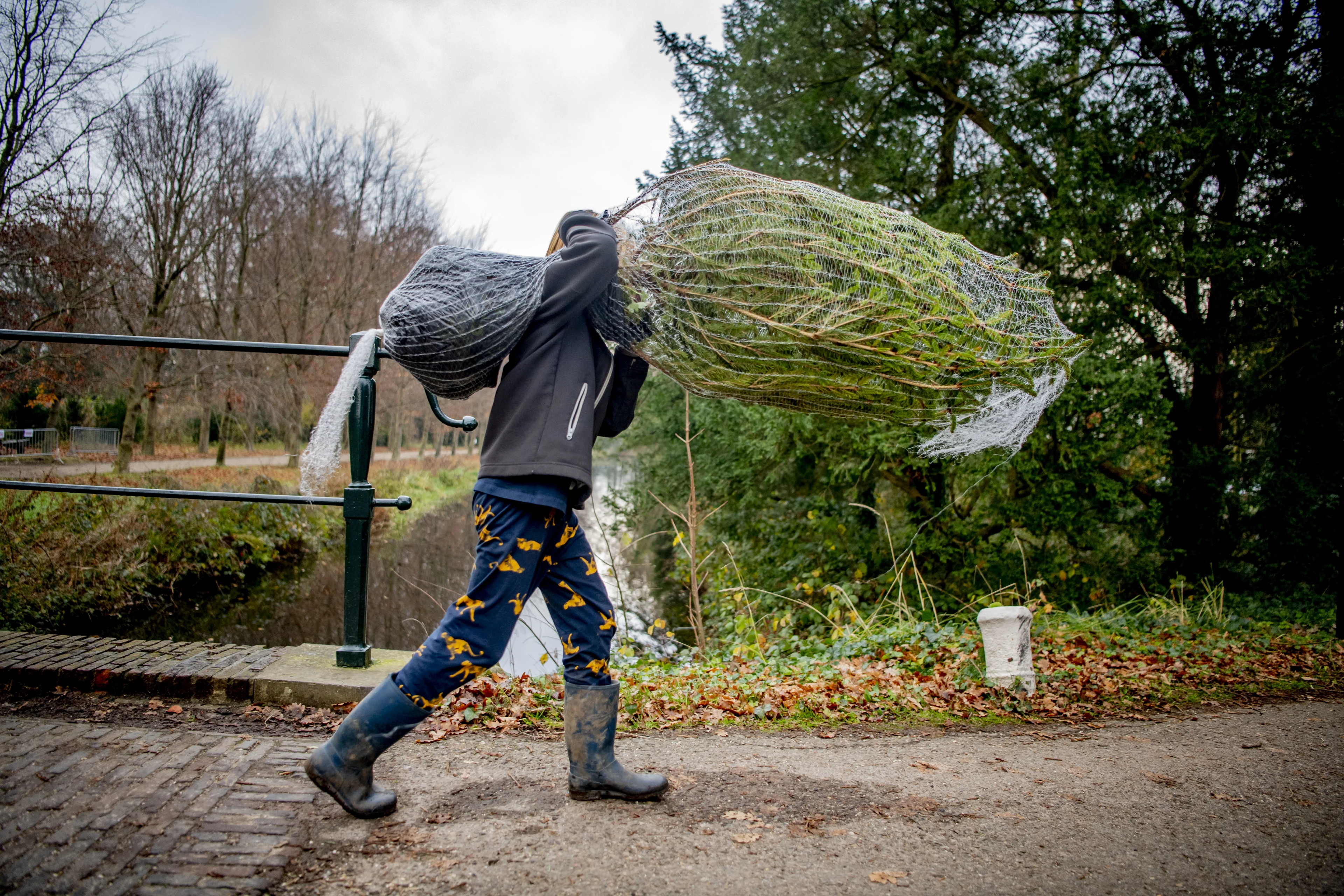 Klaar met stofzuigen rondom je kerstboom? Zo zorg je ervoor dat je echte naaldboom niet uitvalt