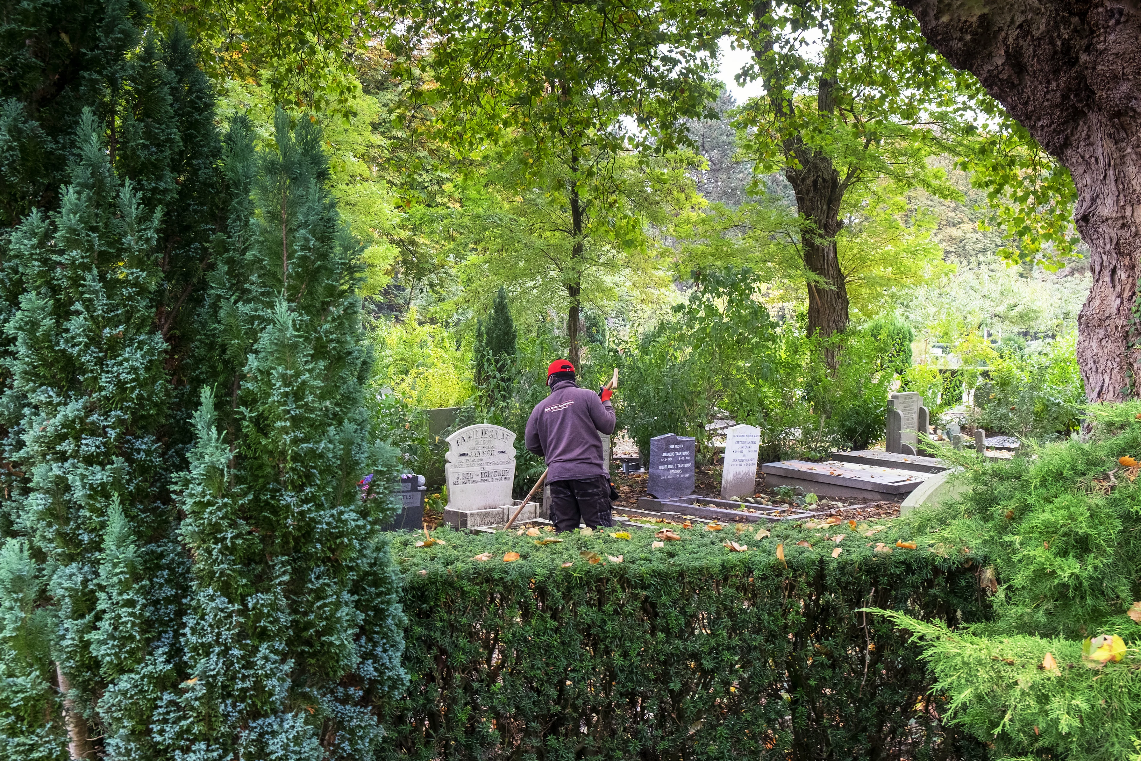 Bijna 600 mensen meer overleden in één week dan gebruikelijk