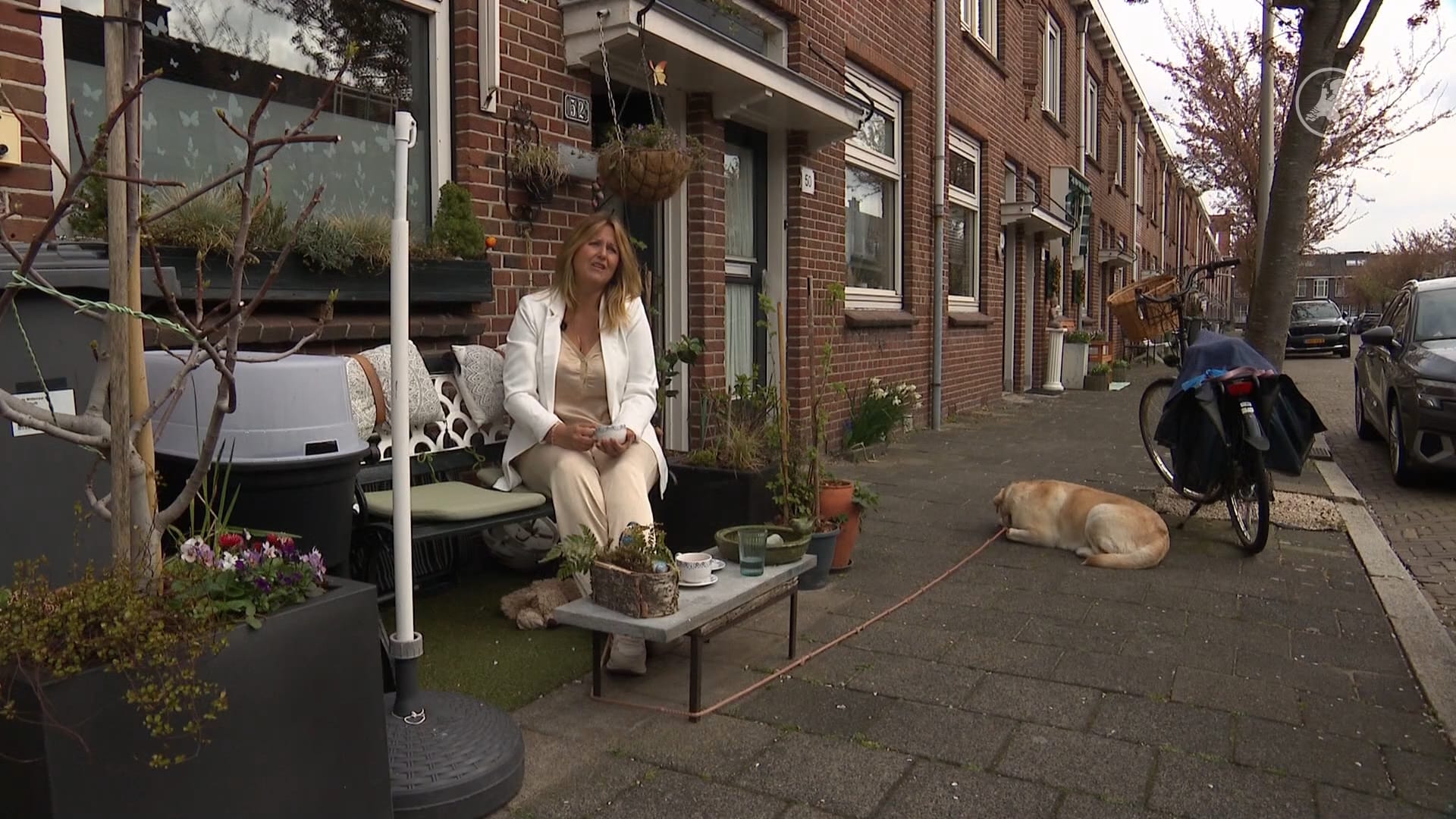 Ophef over kunstgrasstrookje van Claudia: '13 boa's voor mijn deur'