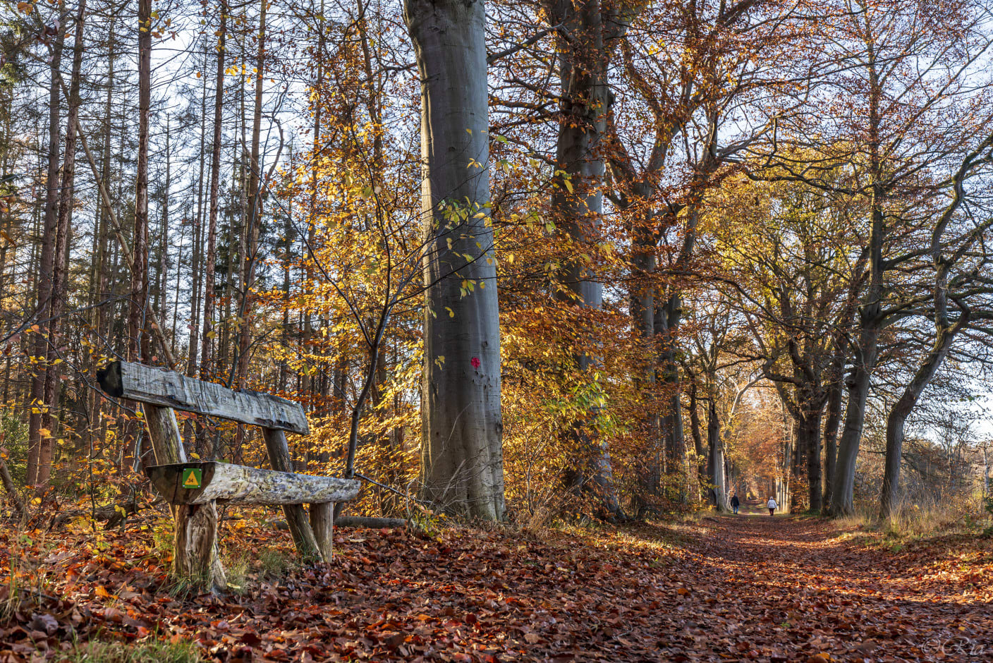 Na een frisse start lopen de temperaturen vandaag alweer snel op