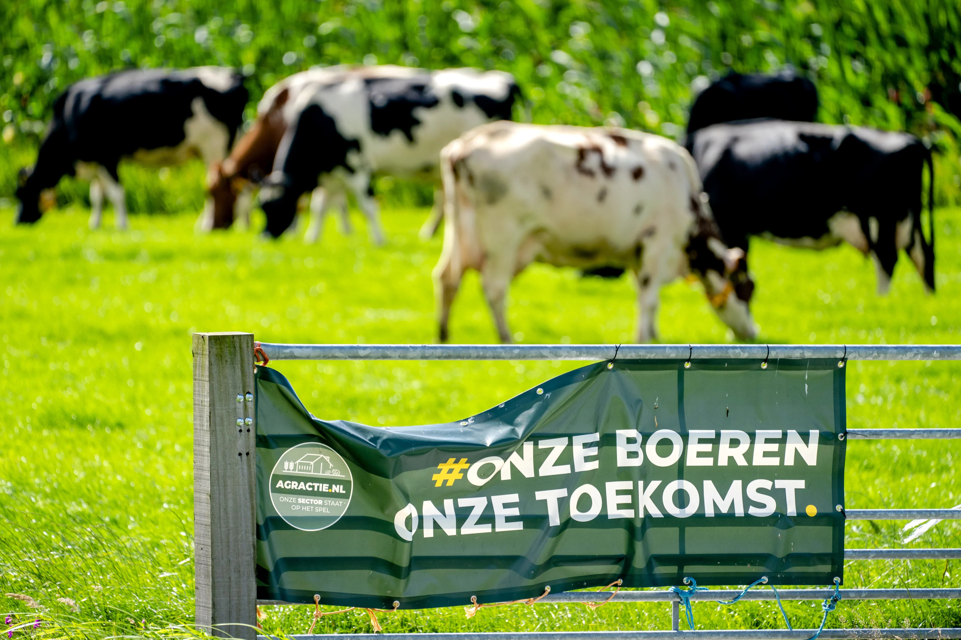 Vandaag dient kort geding tegen veevoermaatregel minister Schouten