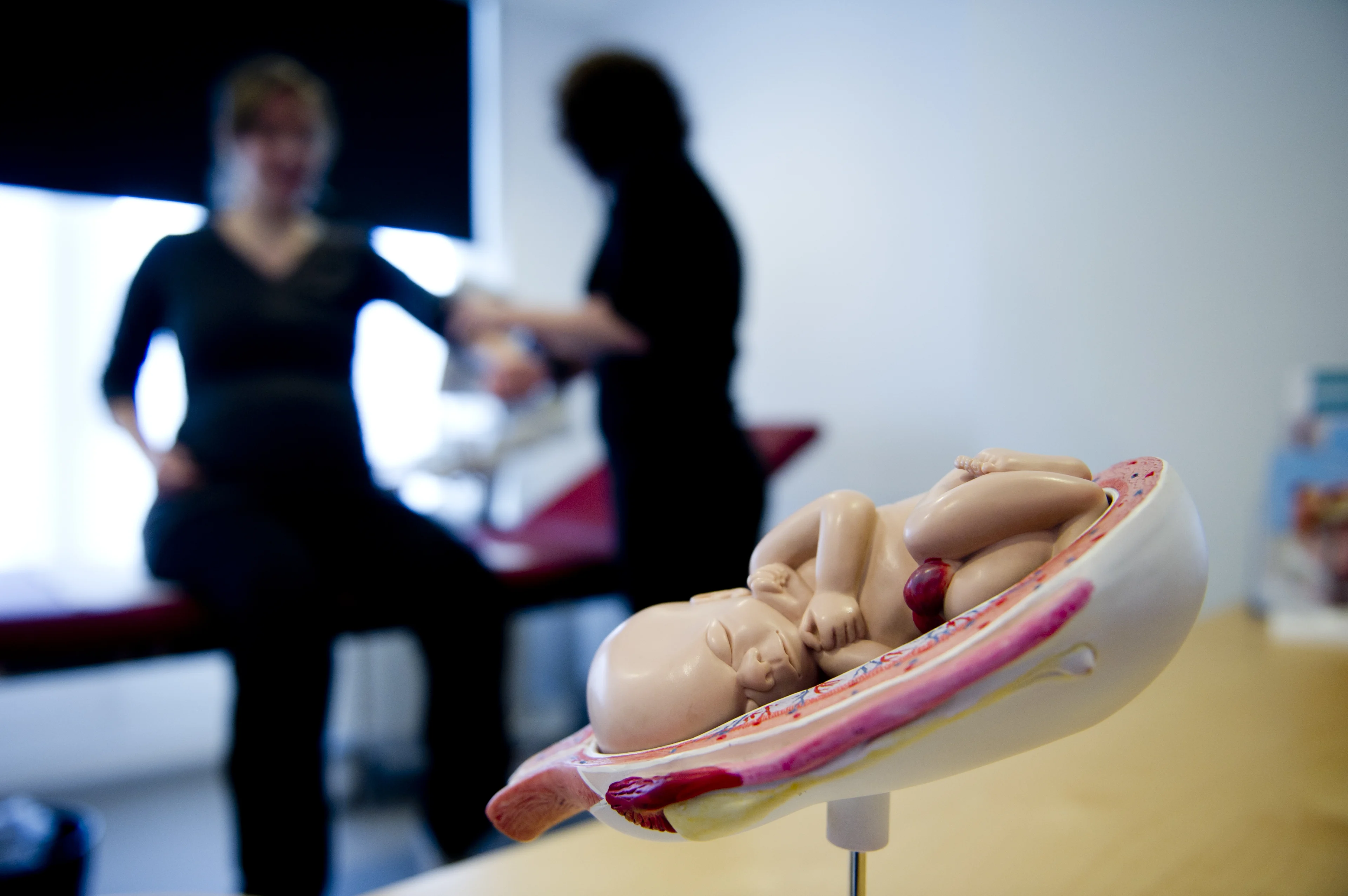 Aantal doodgeboren baby's in Nederland met ruim de helft gedaald