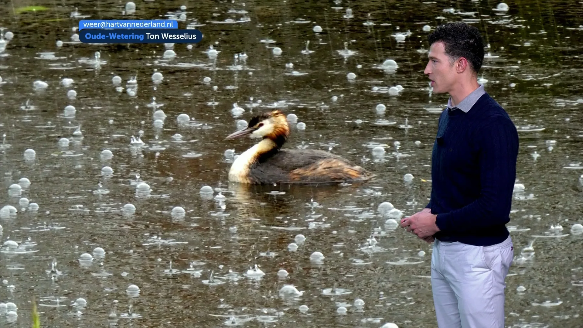 Het weerbericht van woensdag 28 mei 2025