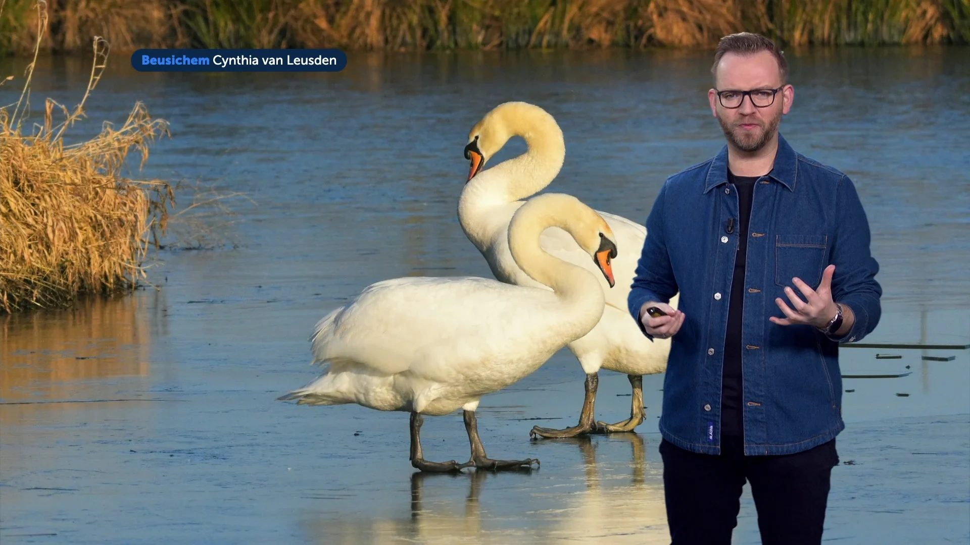 Koude start van de week met lichte vorst, maar snel warmer
