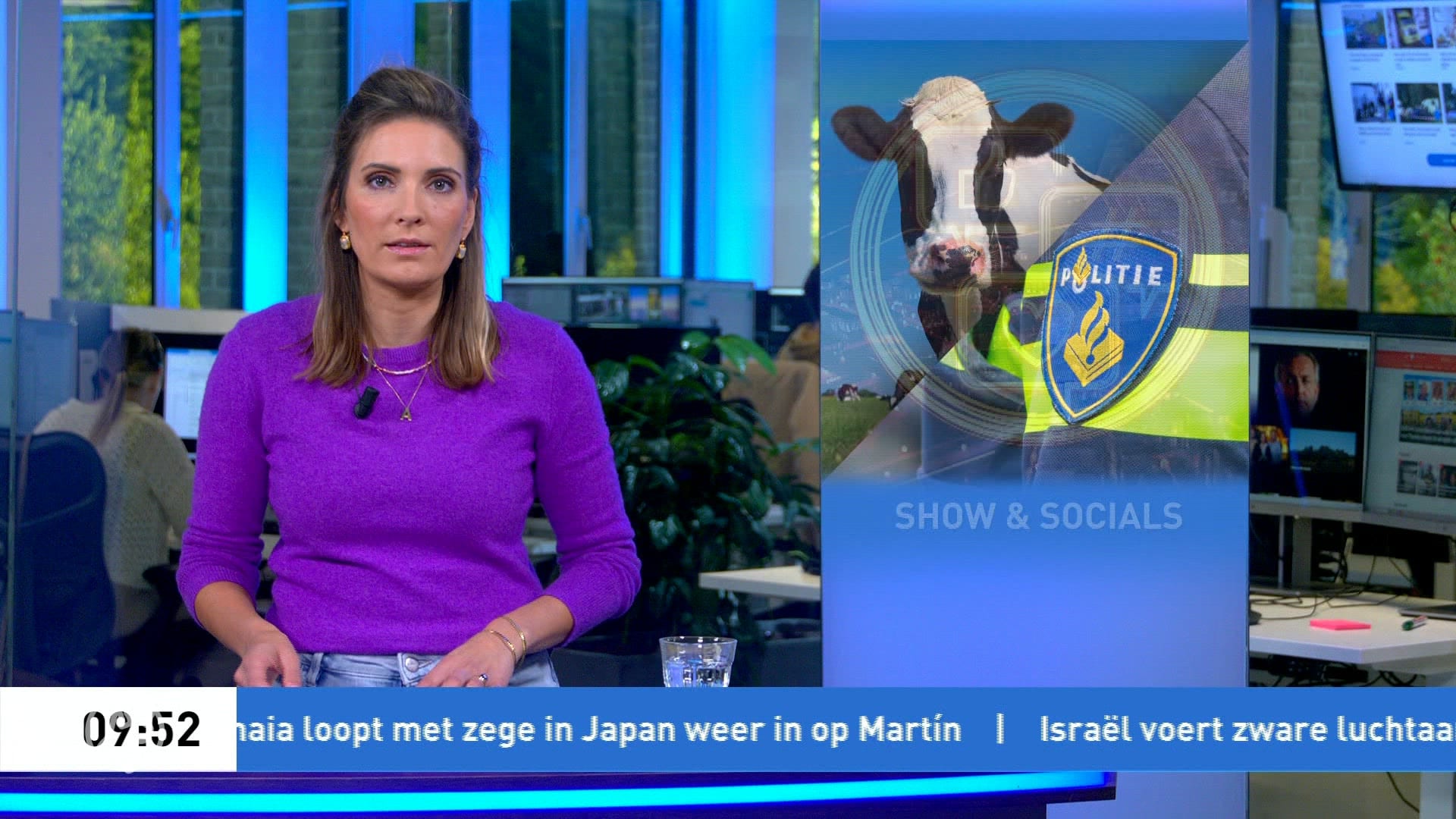 Koeien en pony breken los in Noord-Brabant