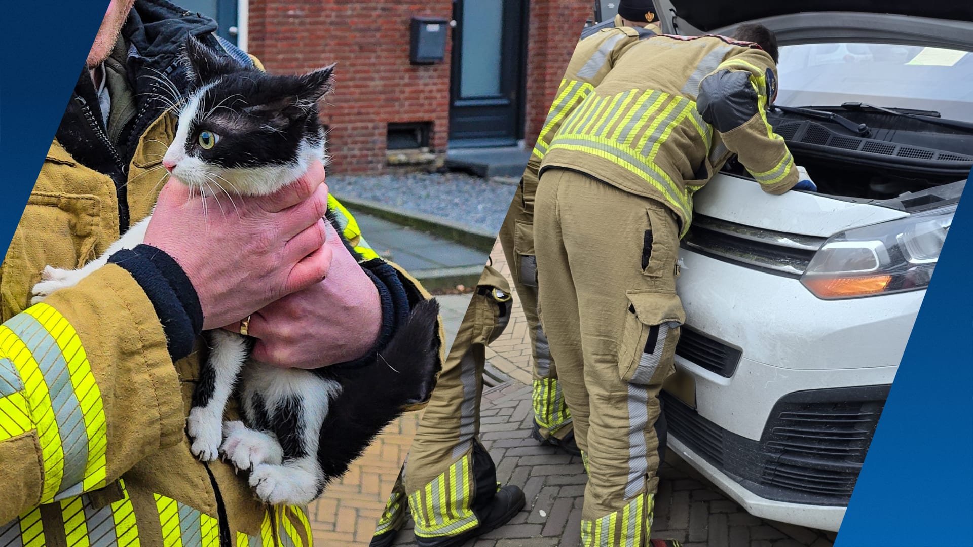 Kat lift mee onder motorkap, brandweer weet beestje te redden