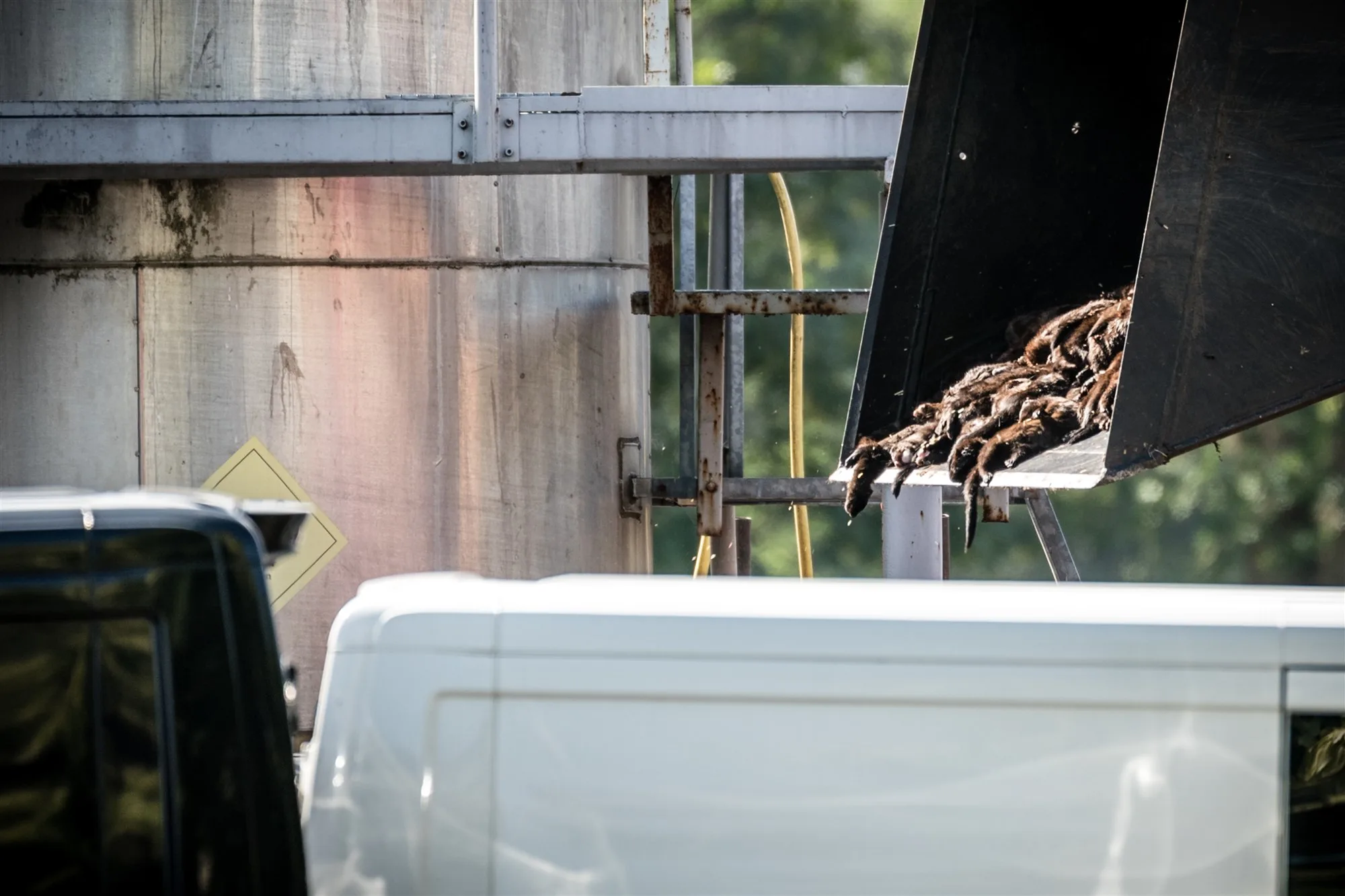 Veiligheidsregio wil ruiming alle nertsen zuidoosten van Brabant