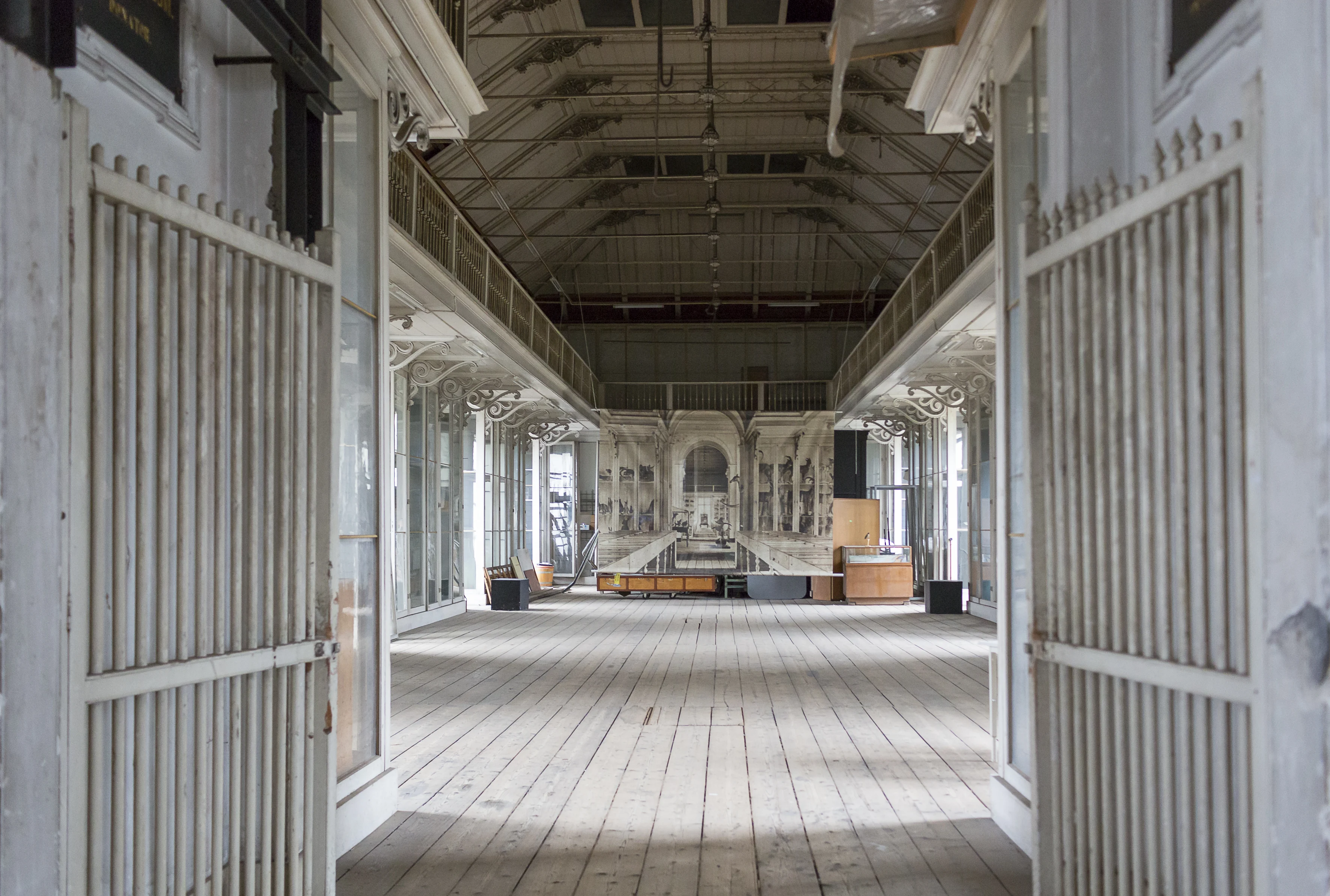 Artis krijgt een nieuw museum (en het gaat níet over dieren)