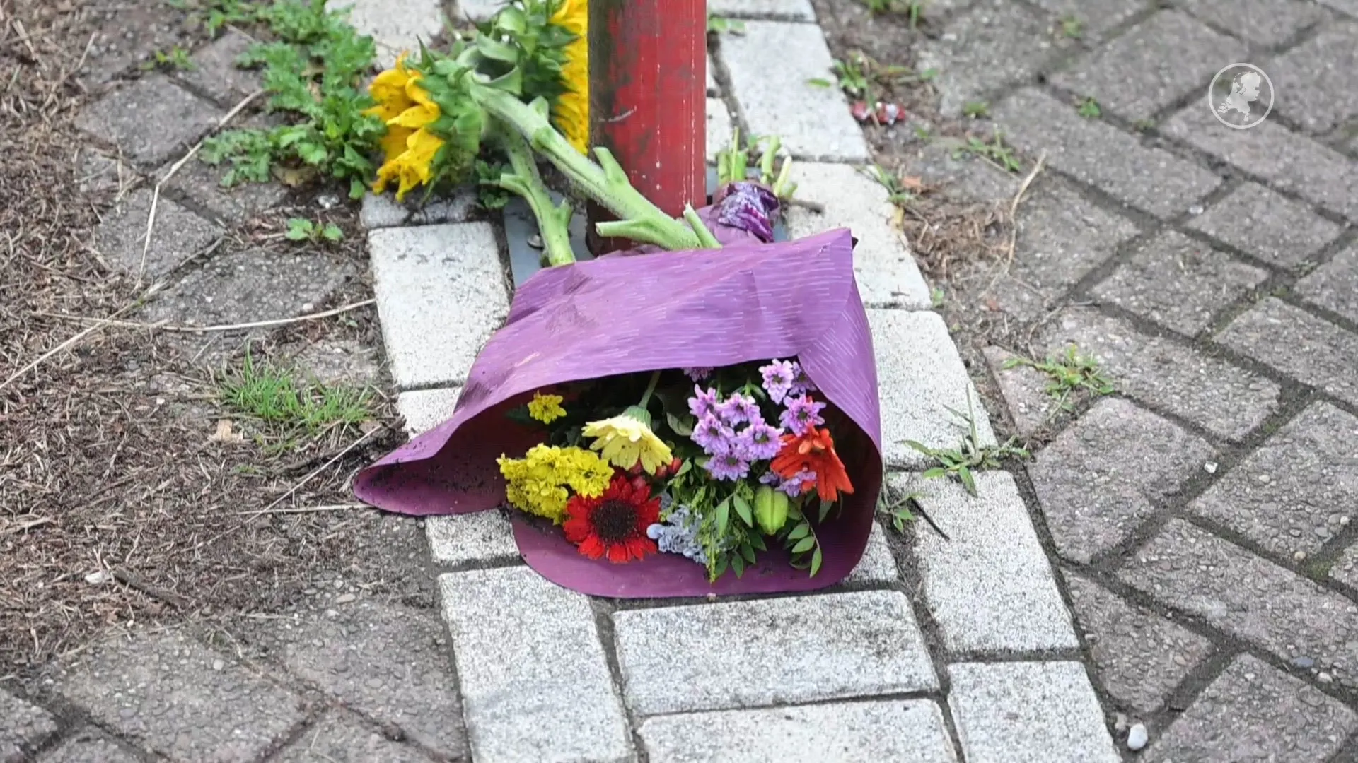 Verdachte doodschieten vrouw in Gouda overleden aangetroffen