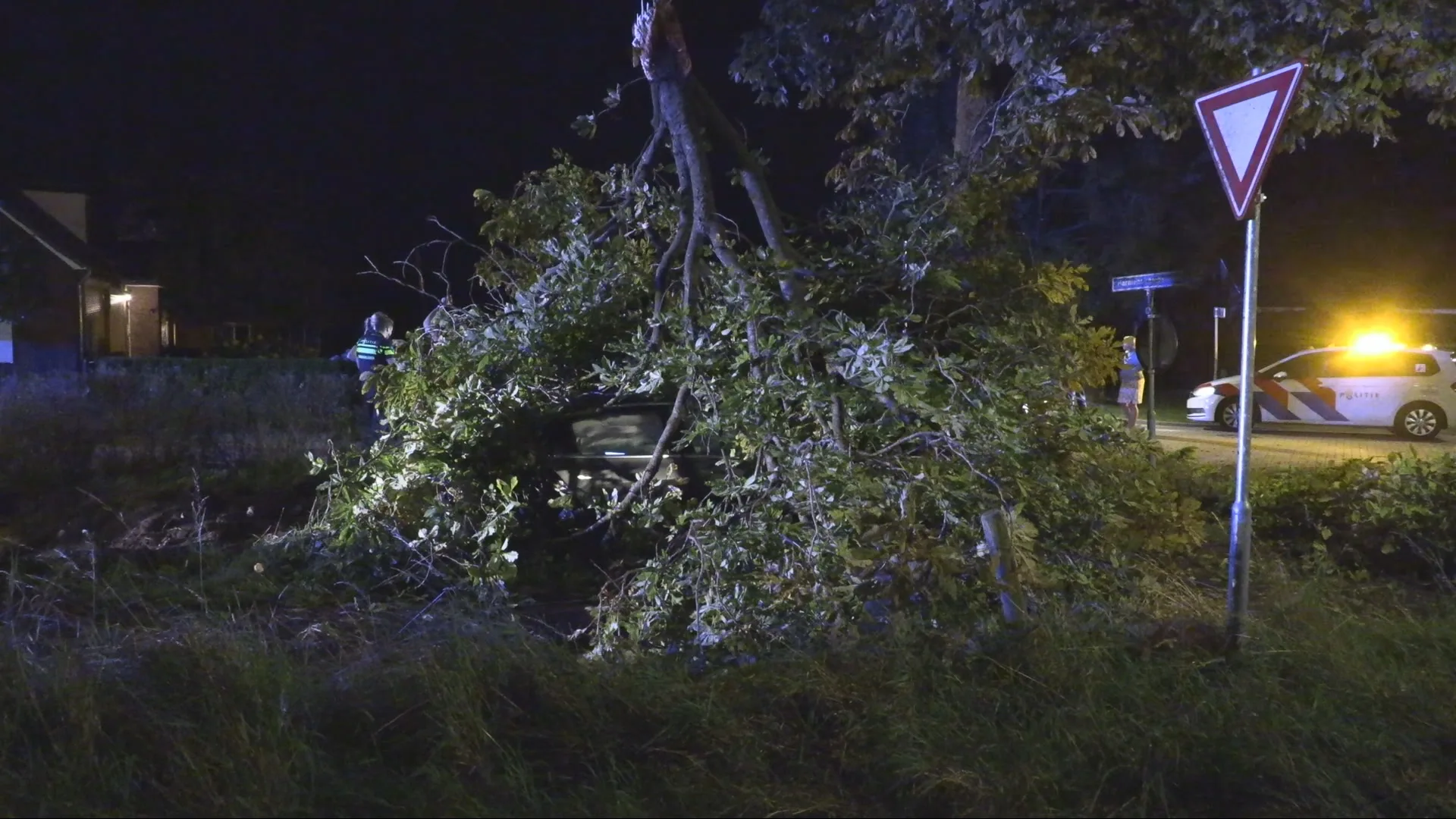 Jonge automobilist botst tegen boom, zware tak valt op auto: vier zwaargewonden