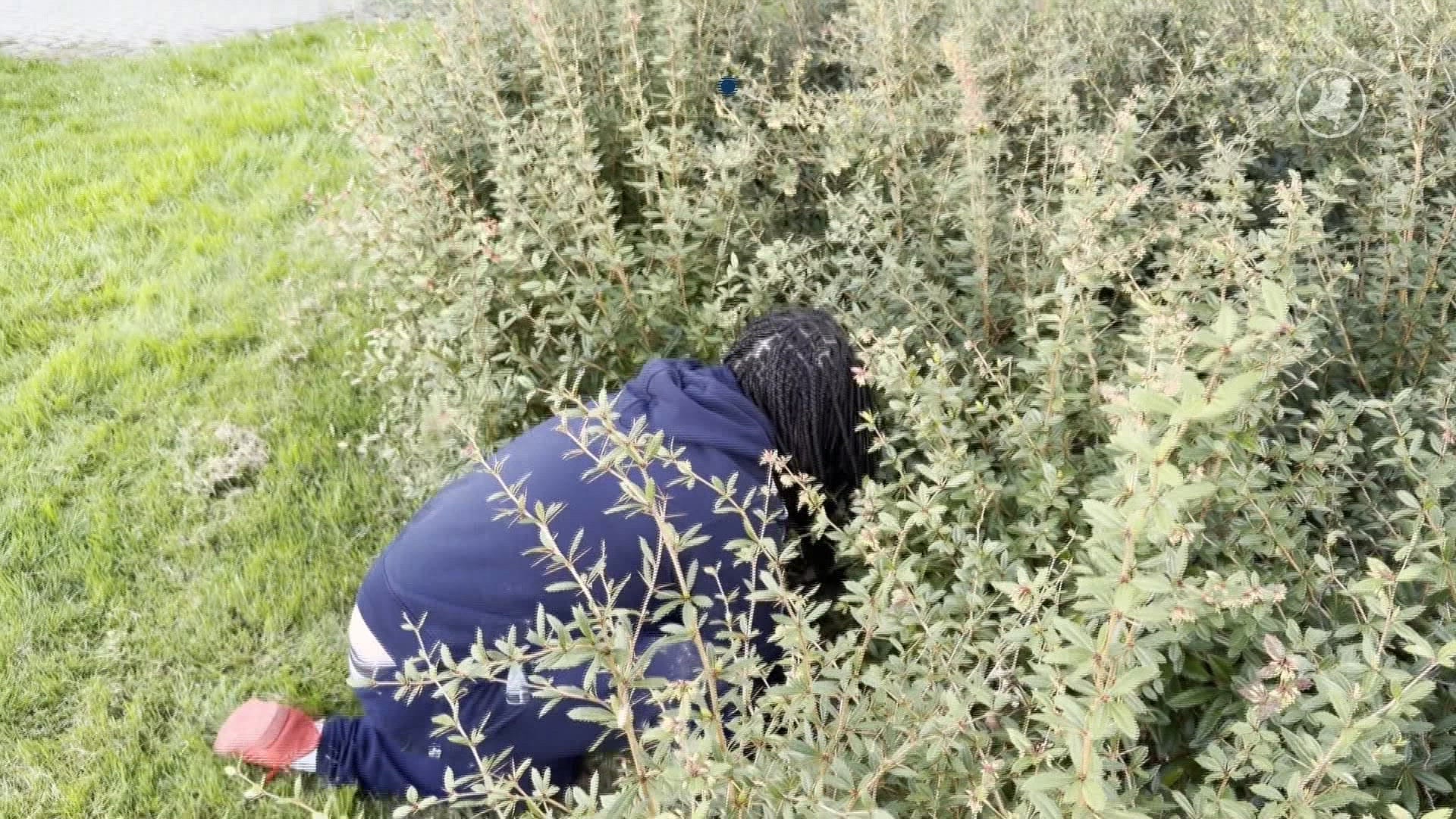 Buurtbewoners vinden ontsnapte slang in Vaals