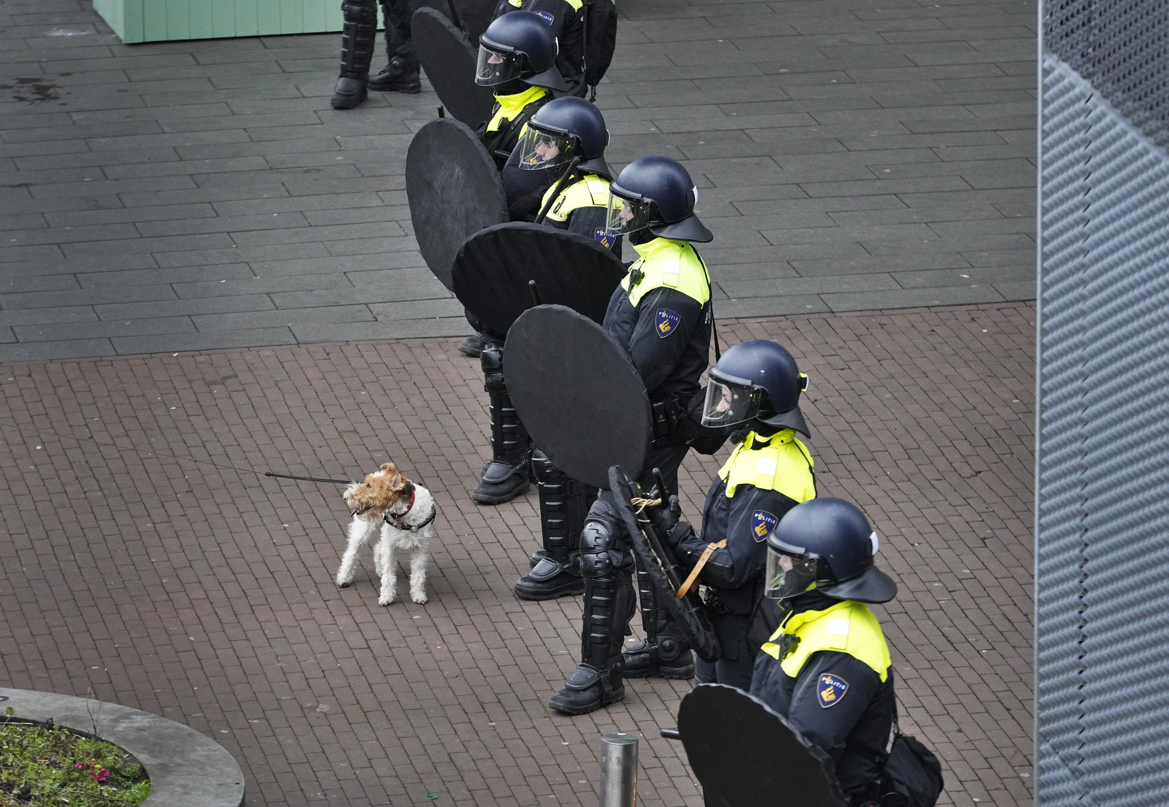 Dertig arrestaties bij demonstratie Museumplein, vier agenten gewond