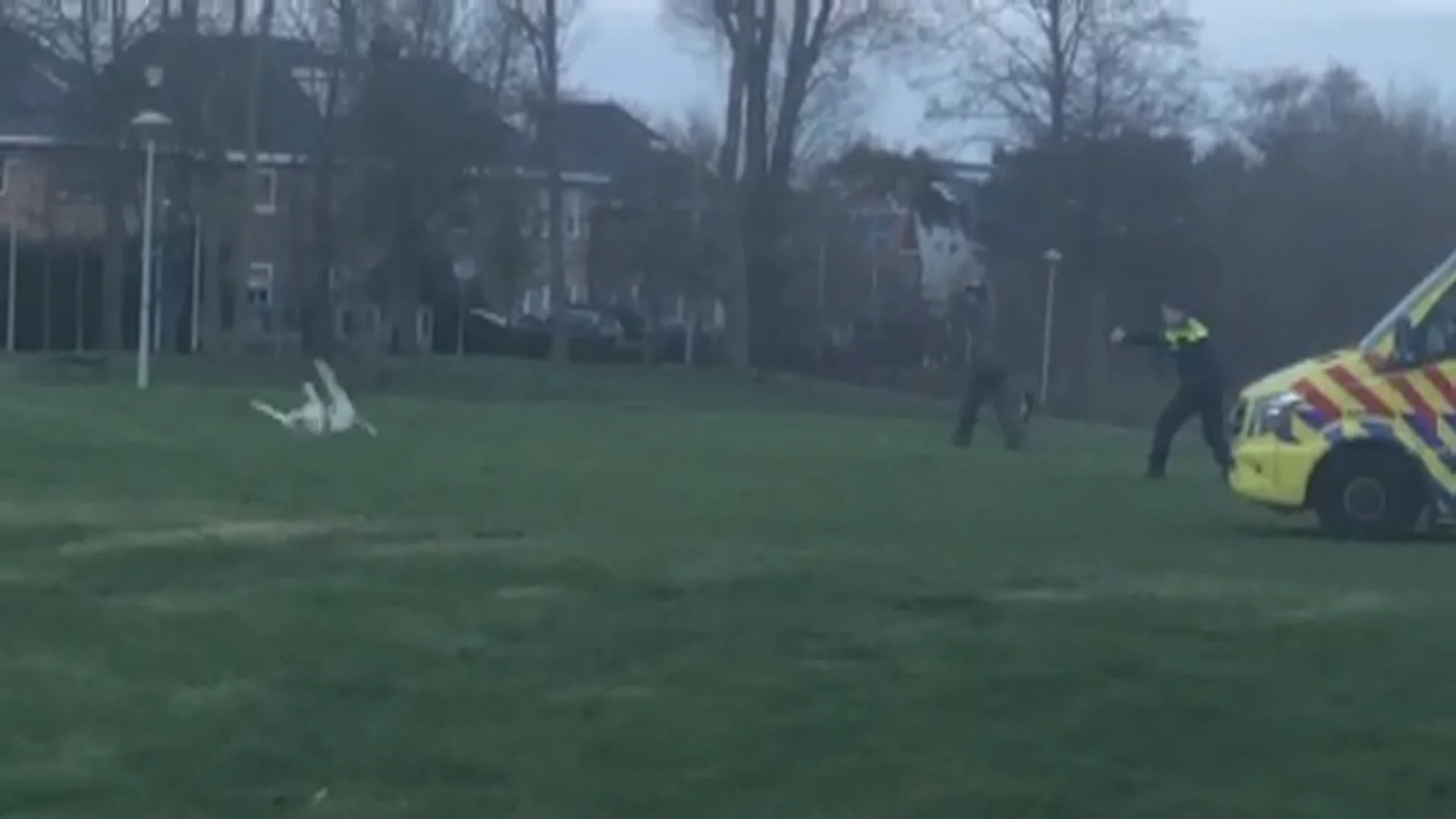 Bizarre beelden: politieagent schiet hond dood die vrouw in been bijt