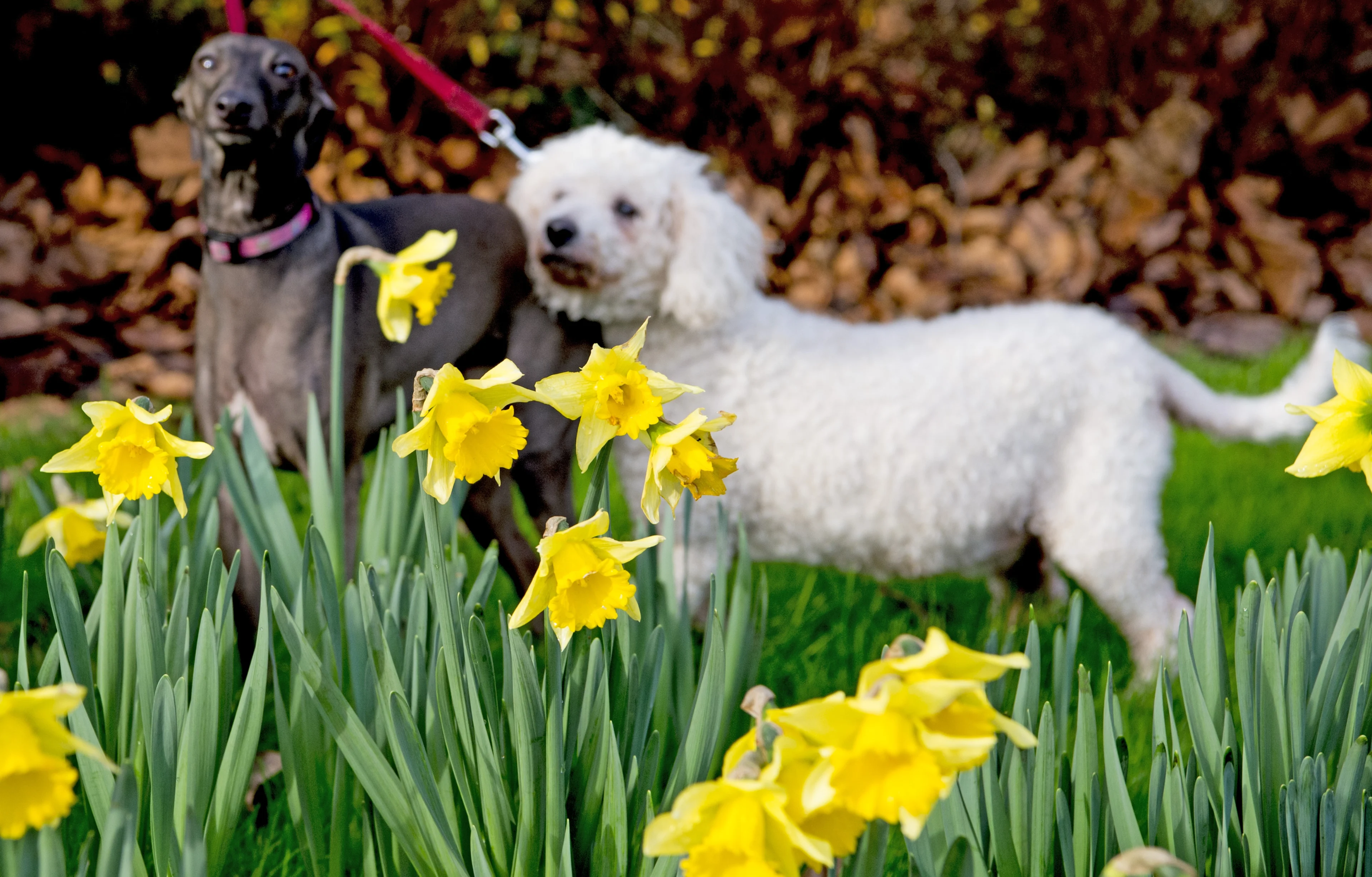 Lente in zicht? De temperaturen schieten omhoog