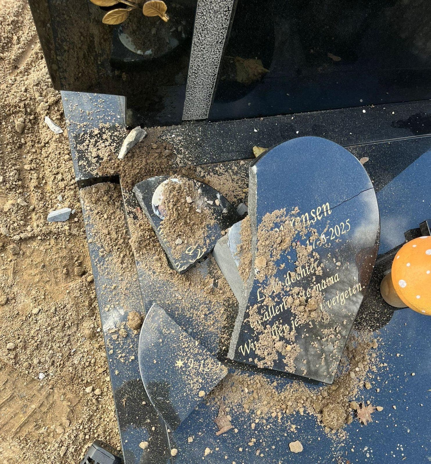 Graf Tilburgse Wendy vernield, familie denkt aan doelgerichte actie