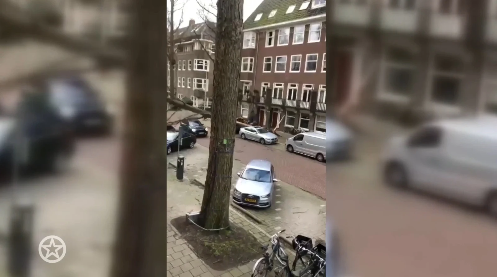 Ellemieke Vermolen reageert nadat vallende boom auto bijna verpletterde: 'Schrik zit er goed in'